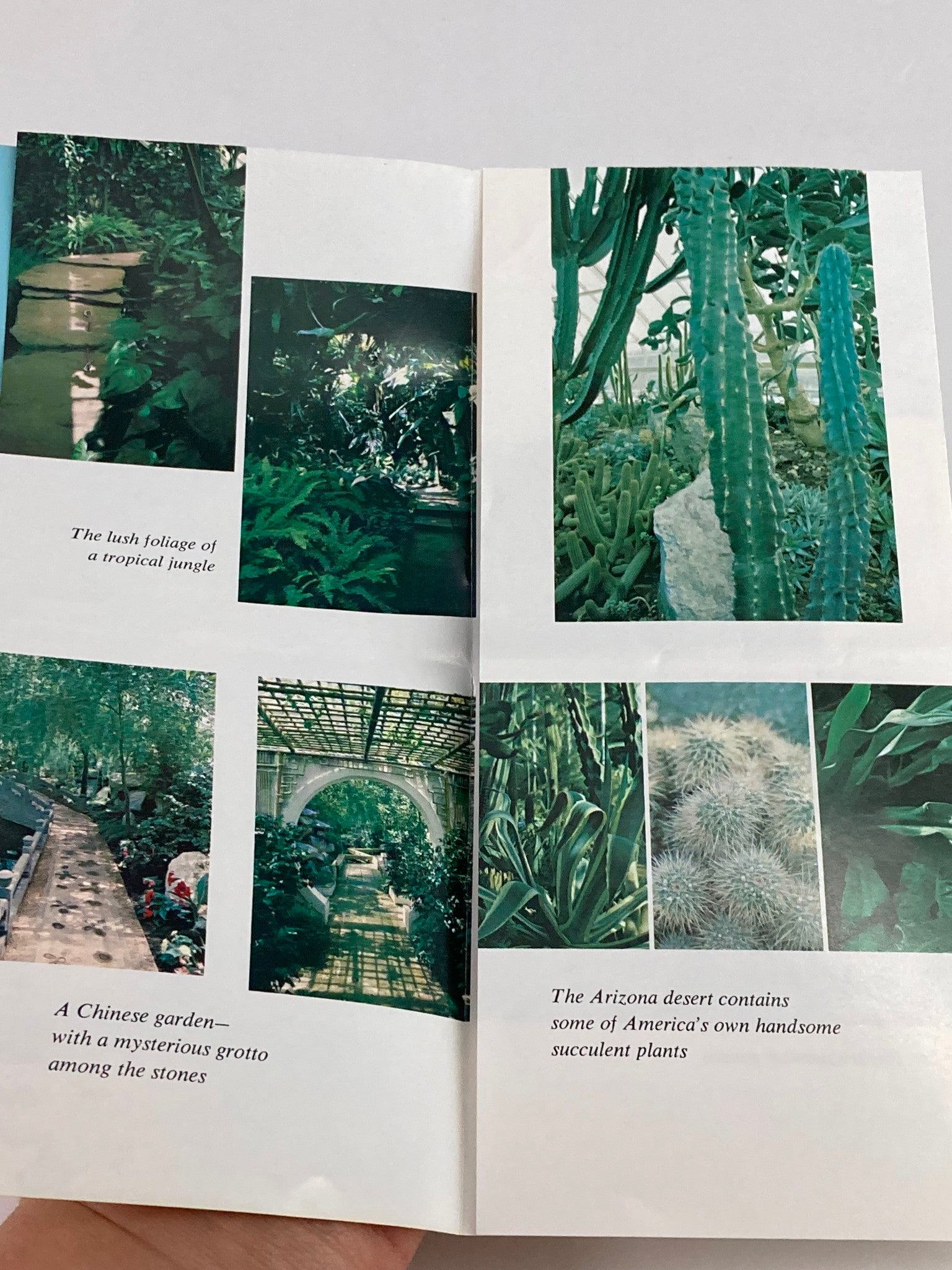 1988 Duke Gardens Foundation Inc. Souvenir Program Duke Gardens showcasing images of tropical foliage and desert plants, demonstrating the lush beauty of the gardens.