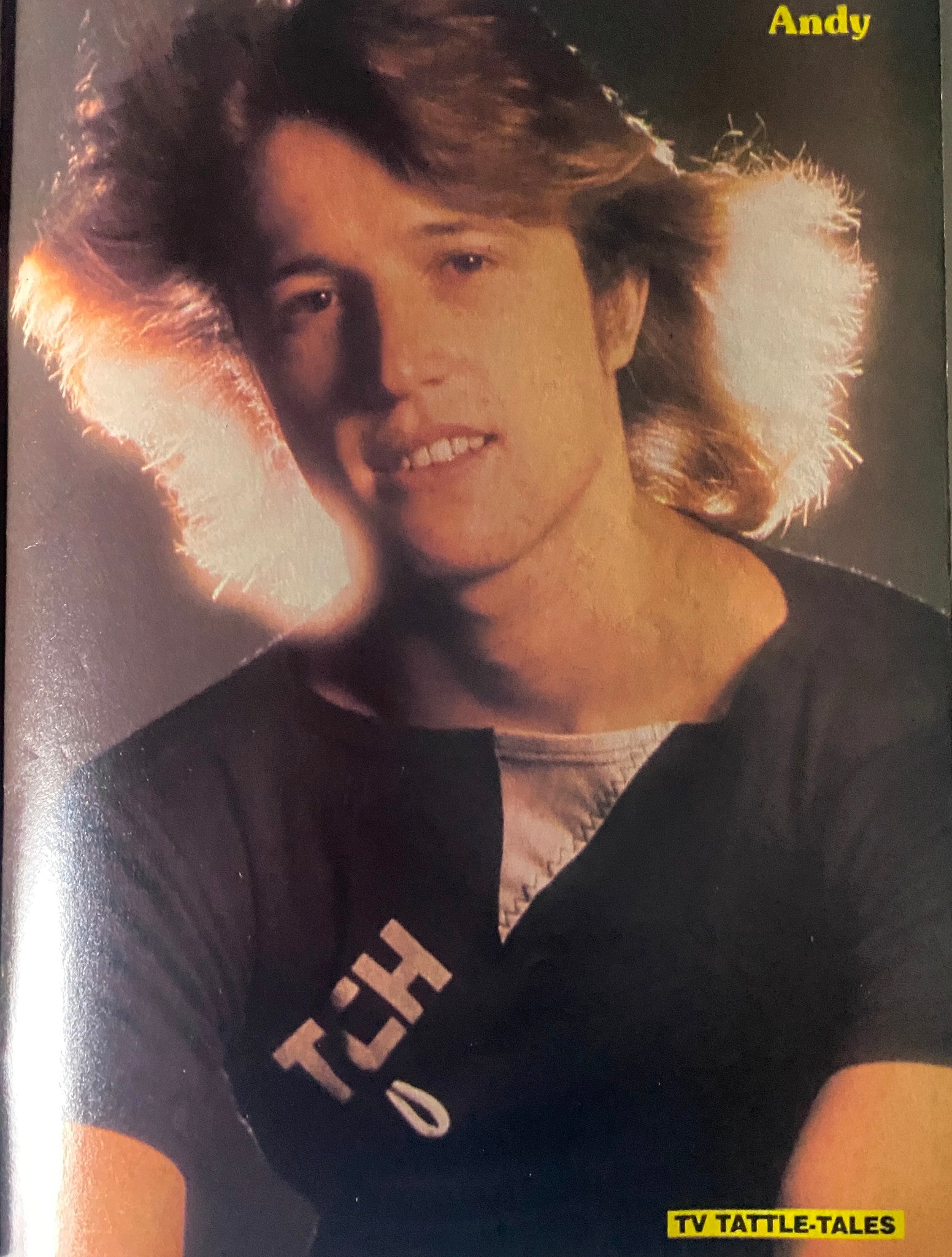 Stylish portrait of a young man named Andy featured in the 16 Magazine Presents TV Tattle-Tales Fall 1980 edition, highlighting his distinctive hair and fashion.