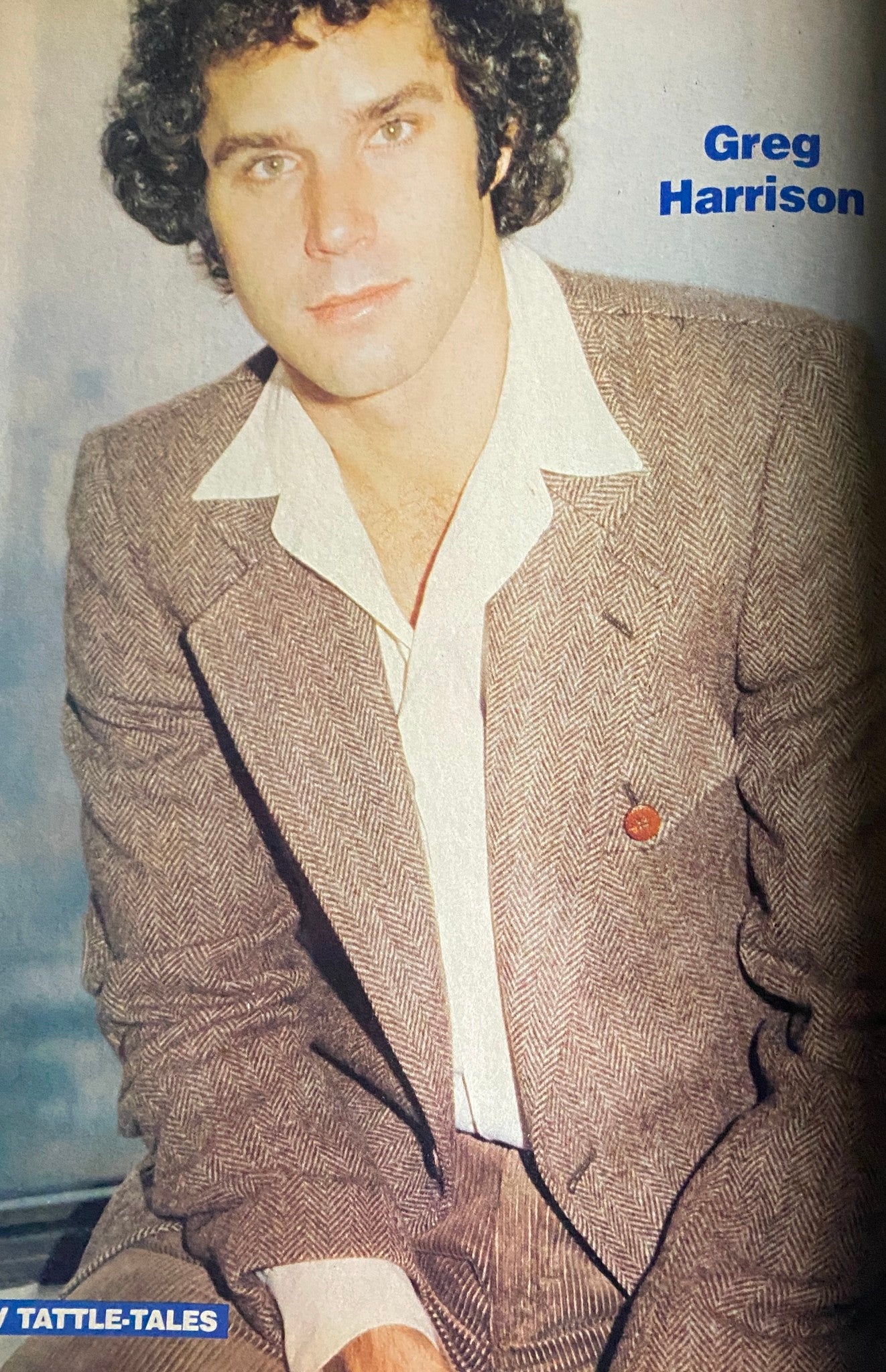 Image from the 16 Magazine TV Tattle-Tales Winter 1980-1981, featuring actor Greg Harrison in a stylish brown suit with a white shirt, capturing the essence of 1980s celebrity culture.