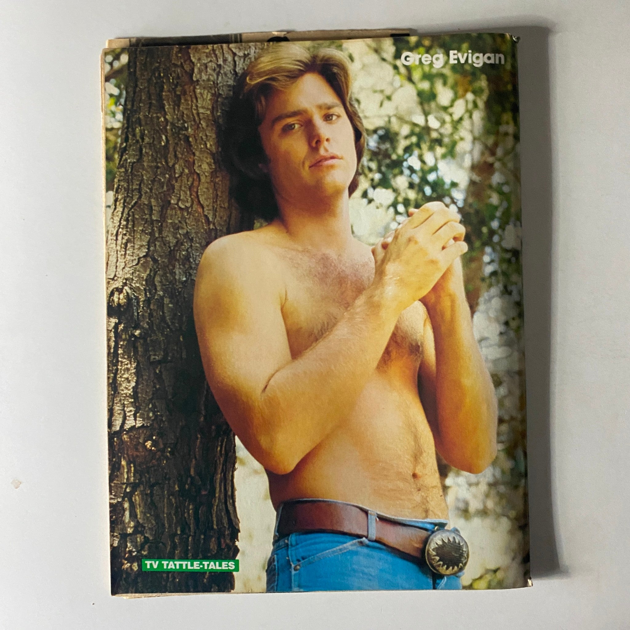 Cover image from the 16 Magazine TV Tattle-Tales Winter 1980-1981 featuring actor Greg Evigan posing against a tree, exemplifying the style and aesthetic of early 80s celebrity magazines.