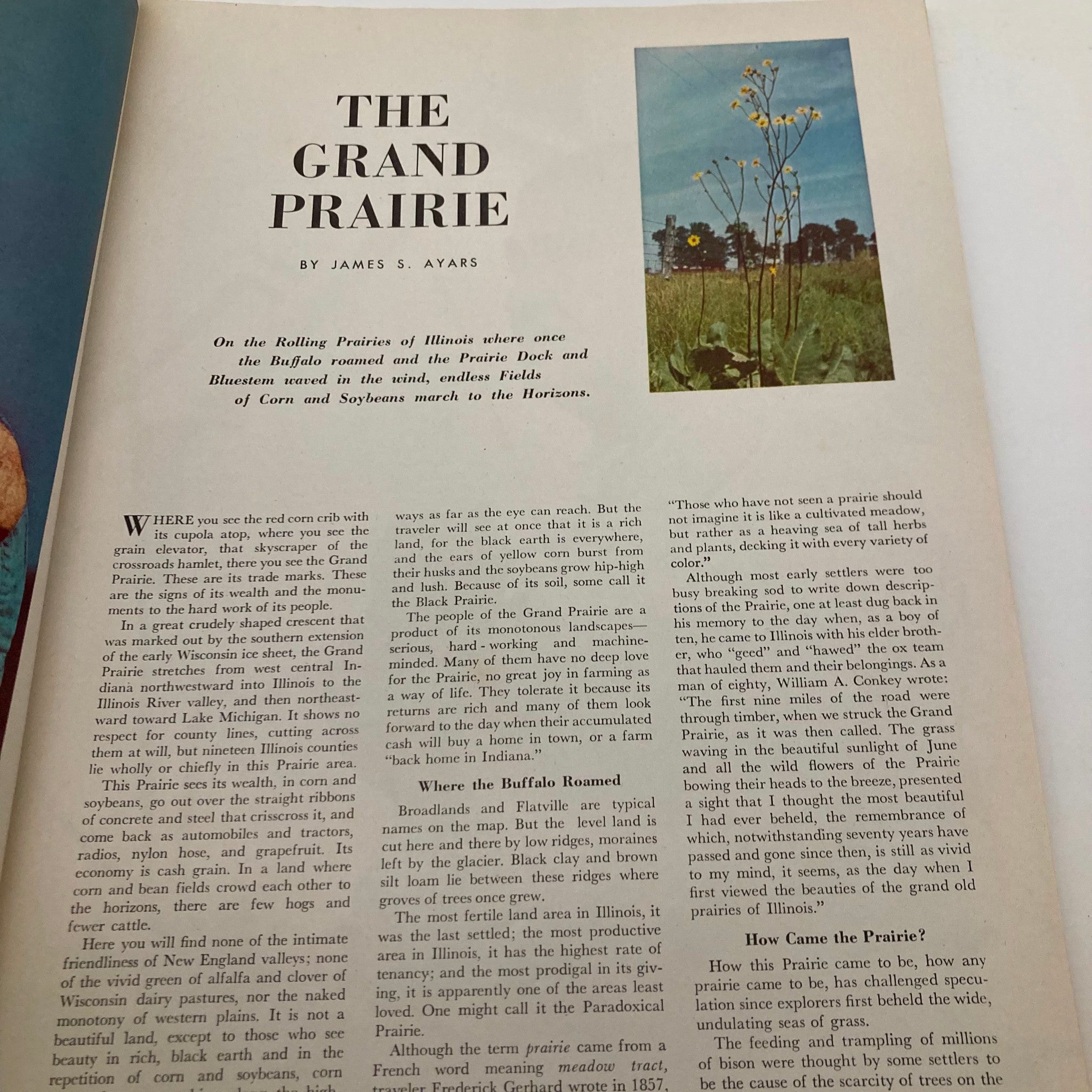 VTG The Farm Quarterly Magazine Spring 1949 New Work for Buckwheat No Label