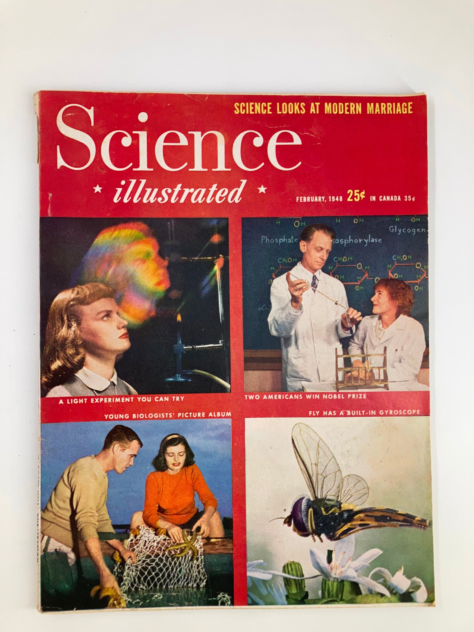 VTG Science Illustrated Magazine February 1948 Fly Has A Gyroscope No Label