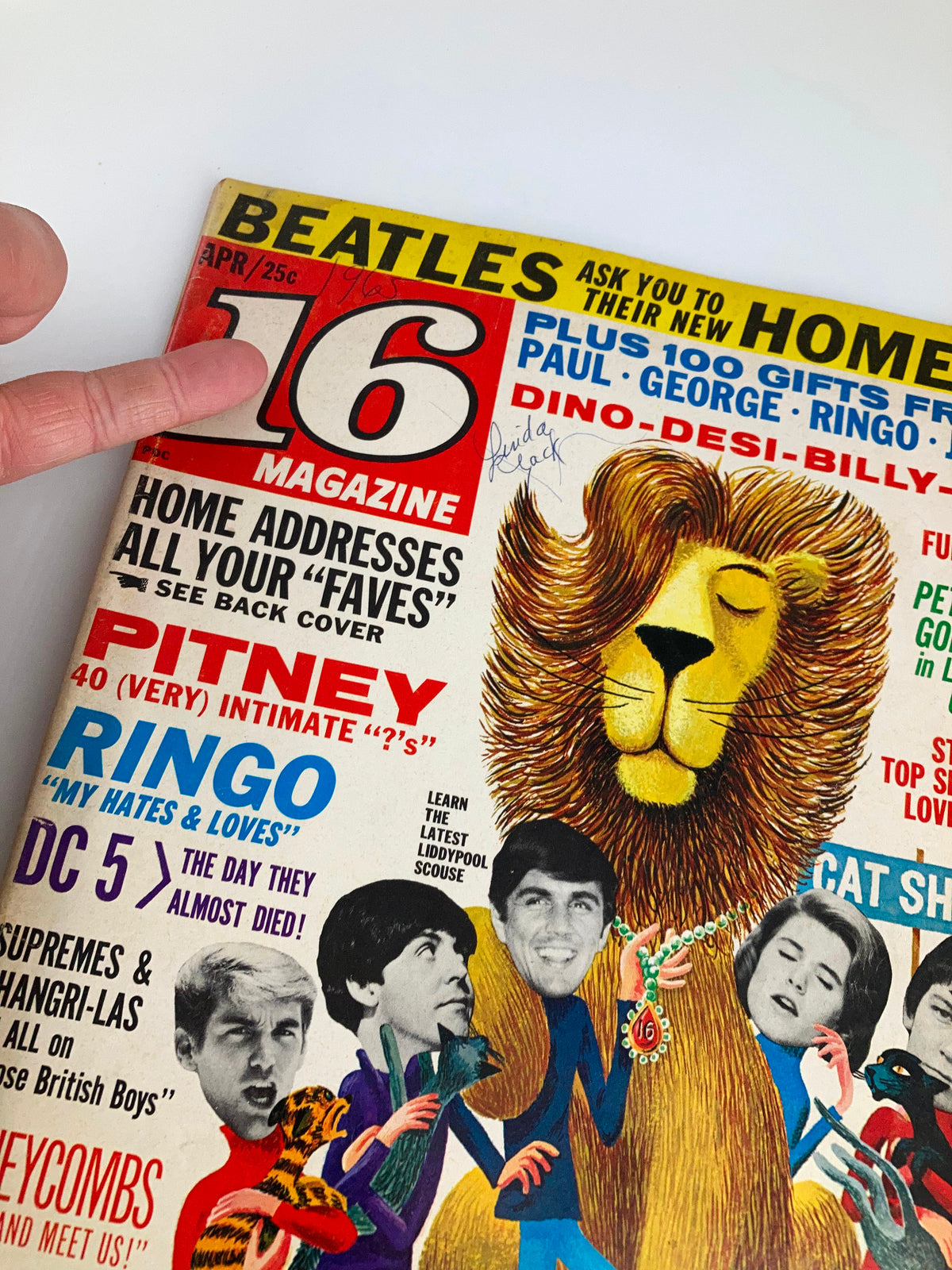 April 1965 Magazine Ringo Starr & Geordie Cats