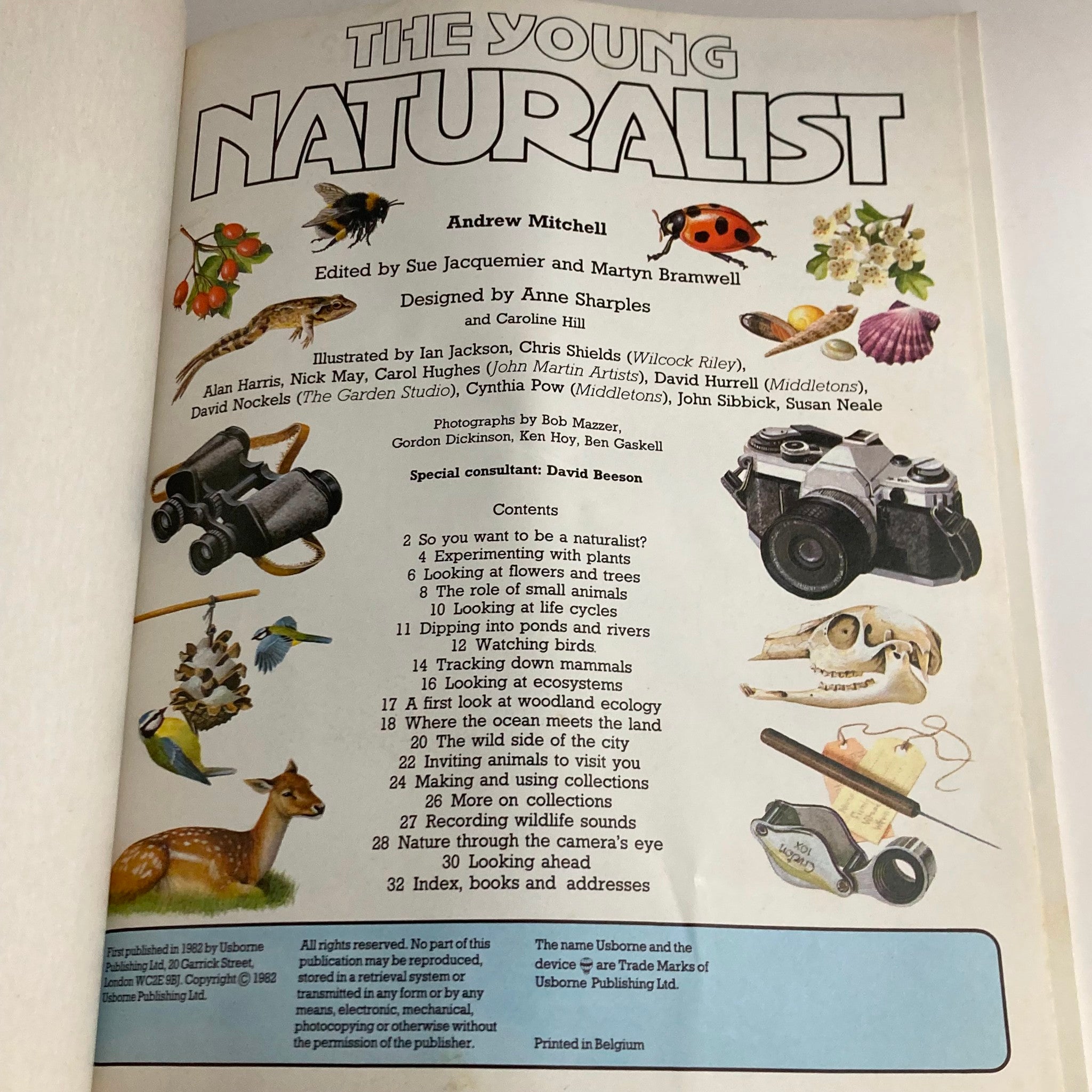 The Young Naturalist An Introduction To Nature Studies Usborne Hobby Guide