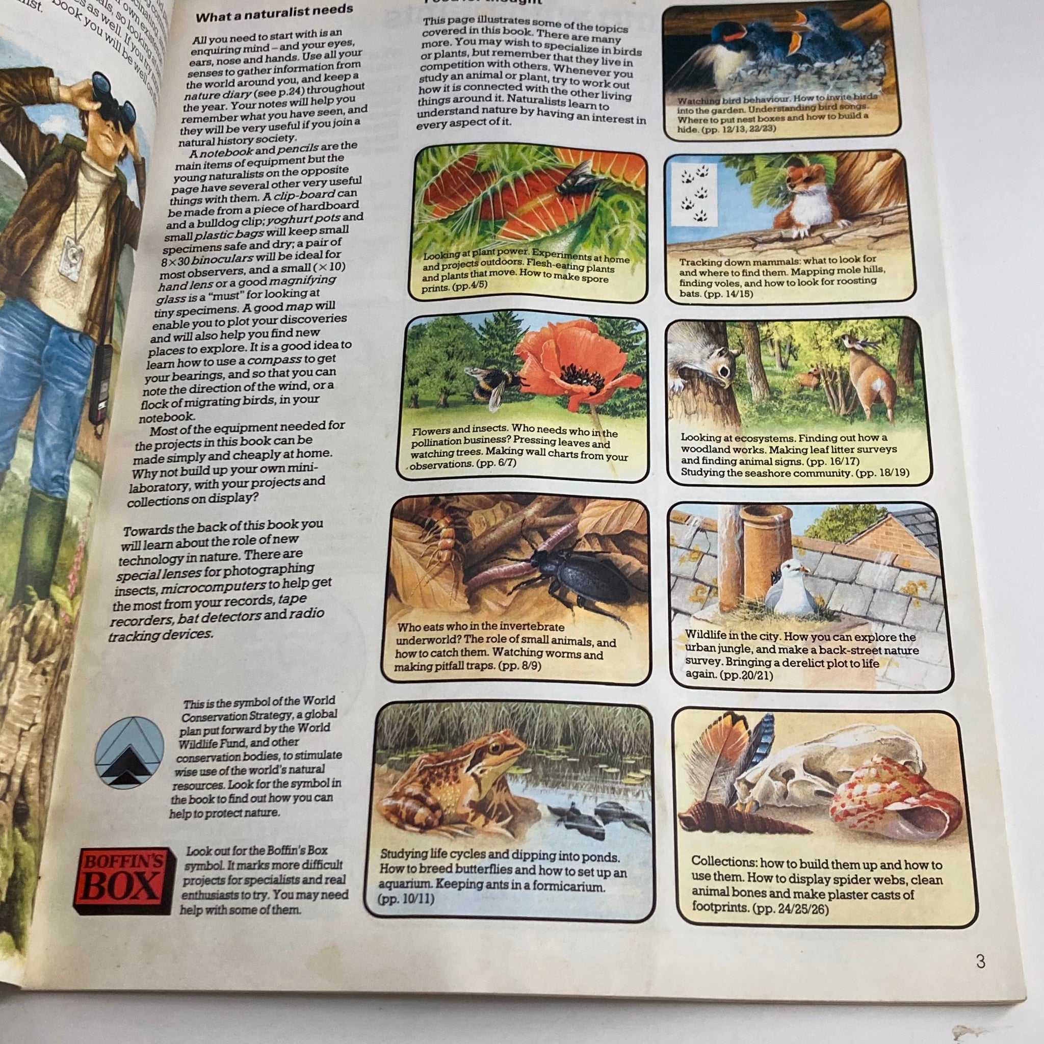 The Young Naturalist An Introduction To Nature Studies Usborne Hobby Guide