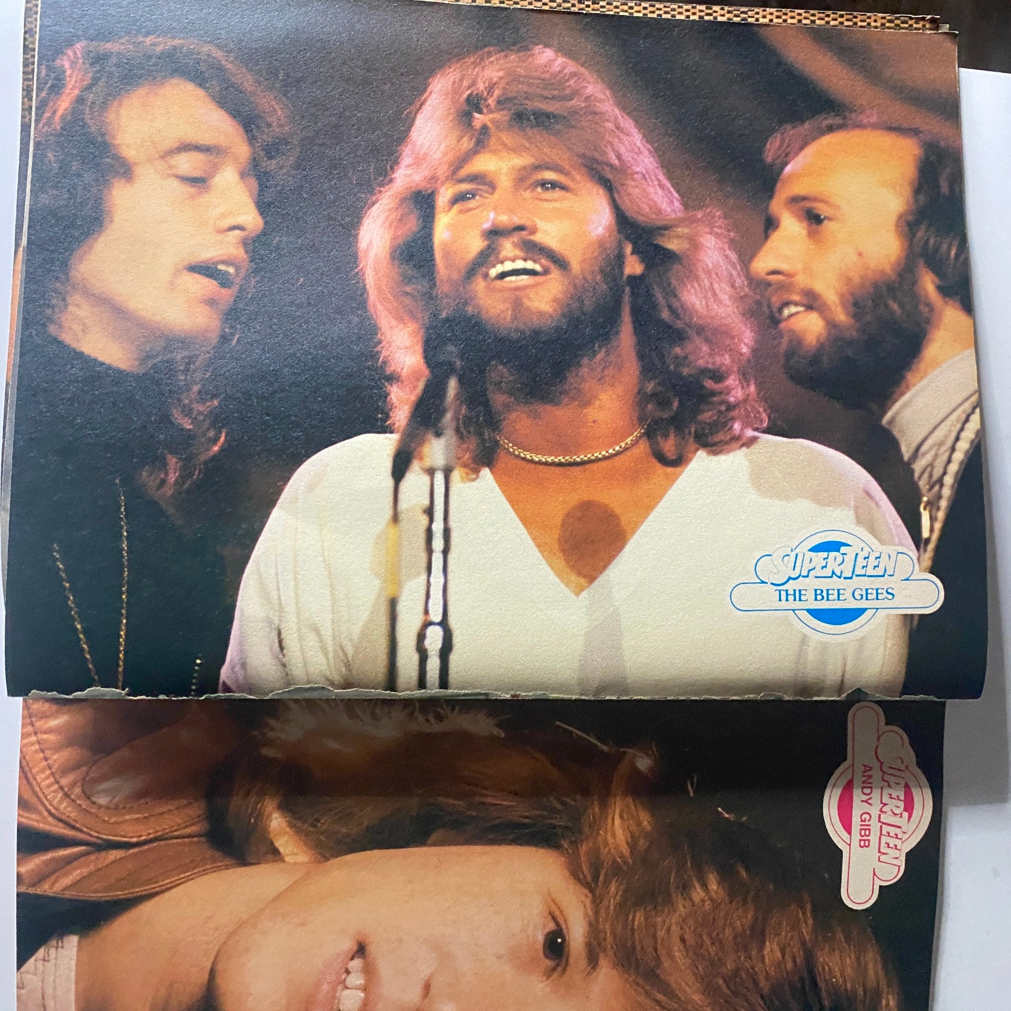 SuperTeen Photo Album No. 5 John Schneider & Tom Wopat Cover No Label