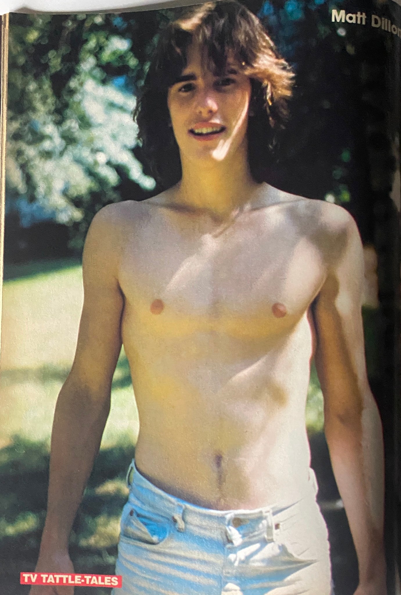 Portrait of Matt Dillon from 16 Magazine TV Tattle-Tales Spring 1981, highlighting a youthful look and showcasing his appeal.