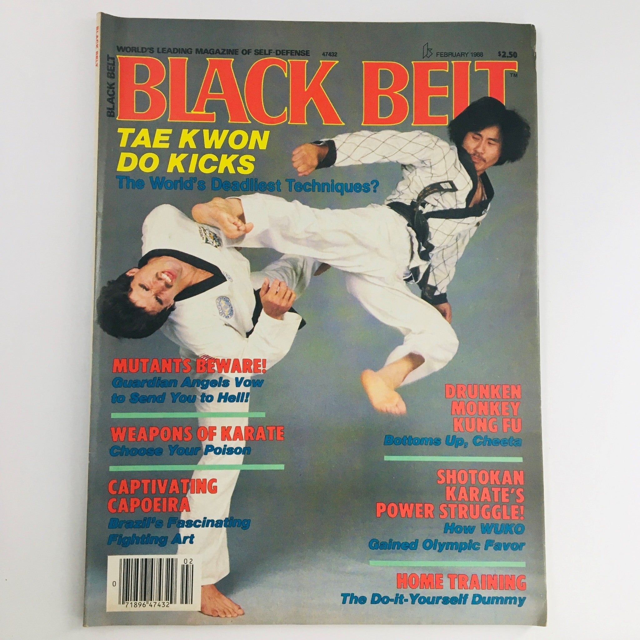 Black Belt Magazine February 1988 Vol 26 #2 Jung Woo Suh & Drunken Monkey KungFu