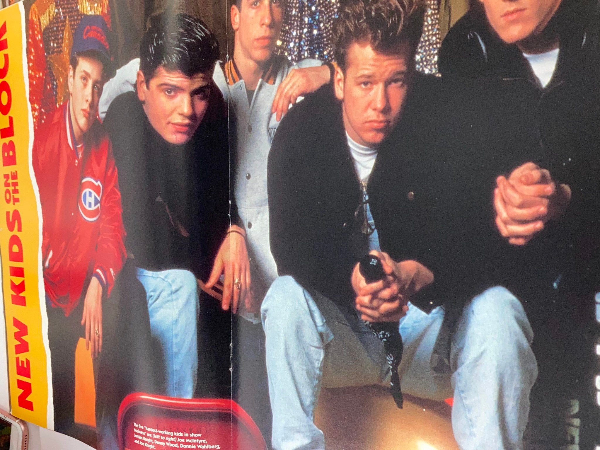 1991 Official New Kids on The Block Bonus Calendar January - December