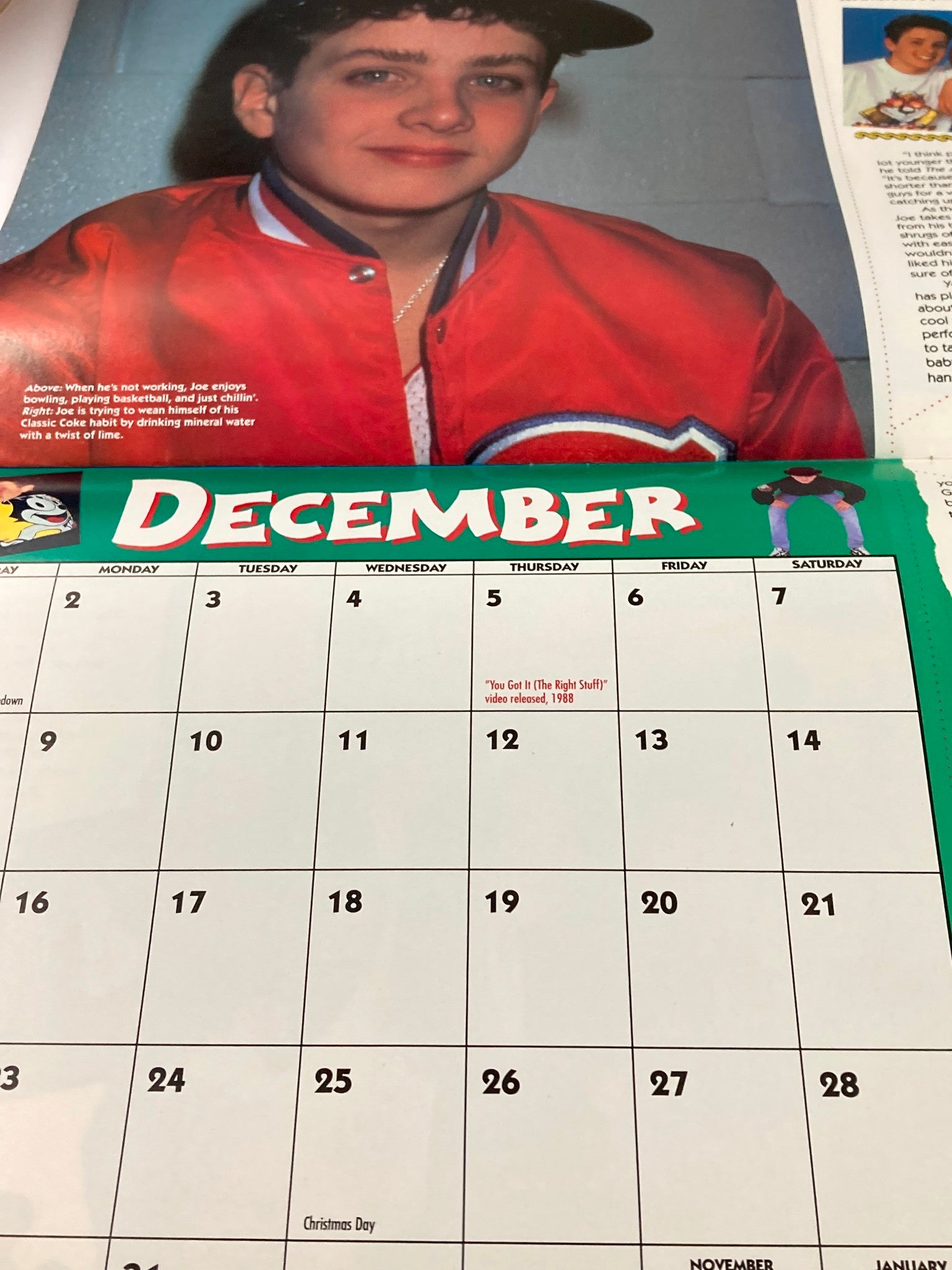 1991 Official New Kids on The Block Bonus Calendar January - December