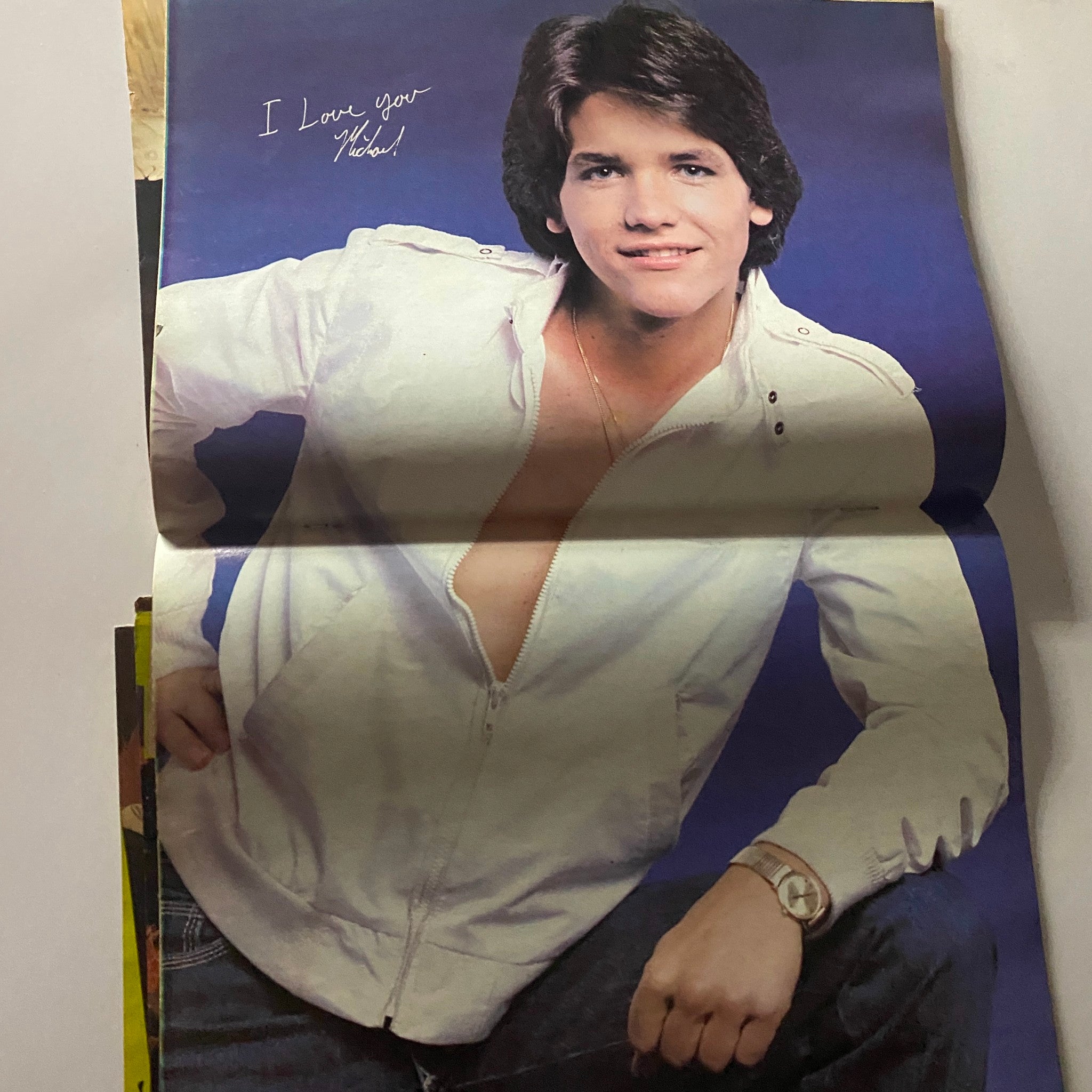 A pin-up poster included in the Tiger Beat Magazine November 1981 with Michael Damian, featuring a handwritten note saying 'I Love You Michael!'