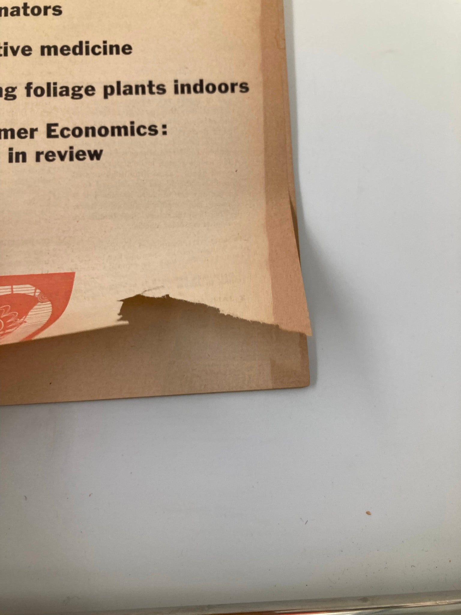 VTG Consumer Reports Magazine January 1956 Growing a Folliage Plant No Label