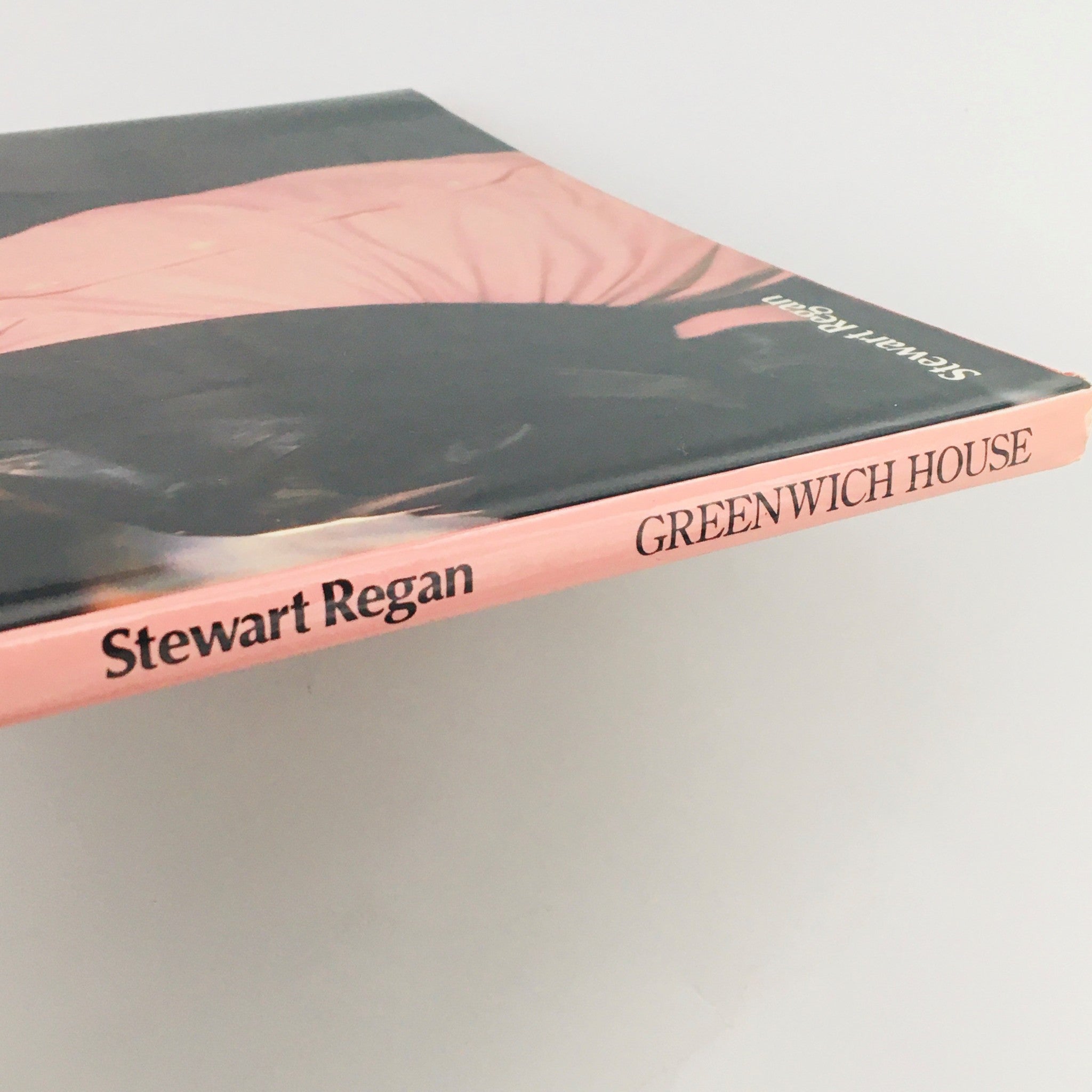 Side view of 'Greenwich House 1984 Presents Michael Jackson by Stewart Regan' book showing the spine and cover design.