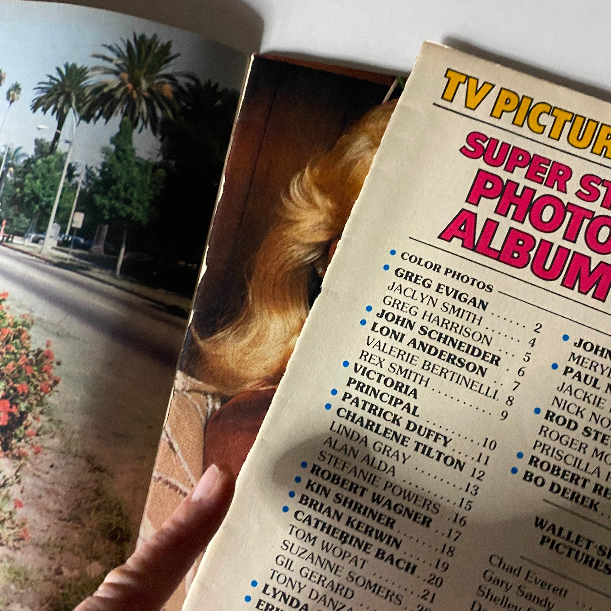 TV Picture Life Magazine June 1980 photo showcasing palm trees and classic Hollywood aesthetics alongside magazine cover features.