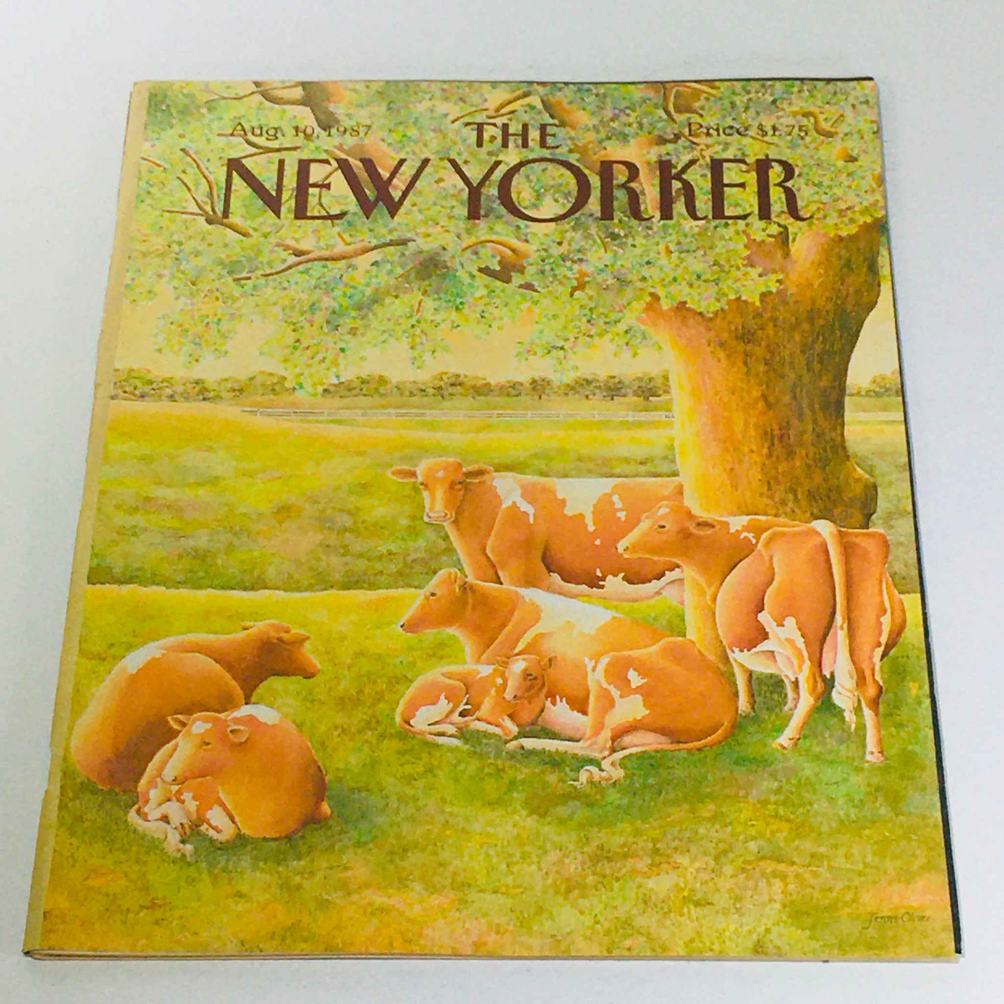 The New Yorker: August 10 1987 - Full Magazine/Theme Cover Jenni Oliver