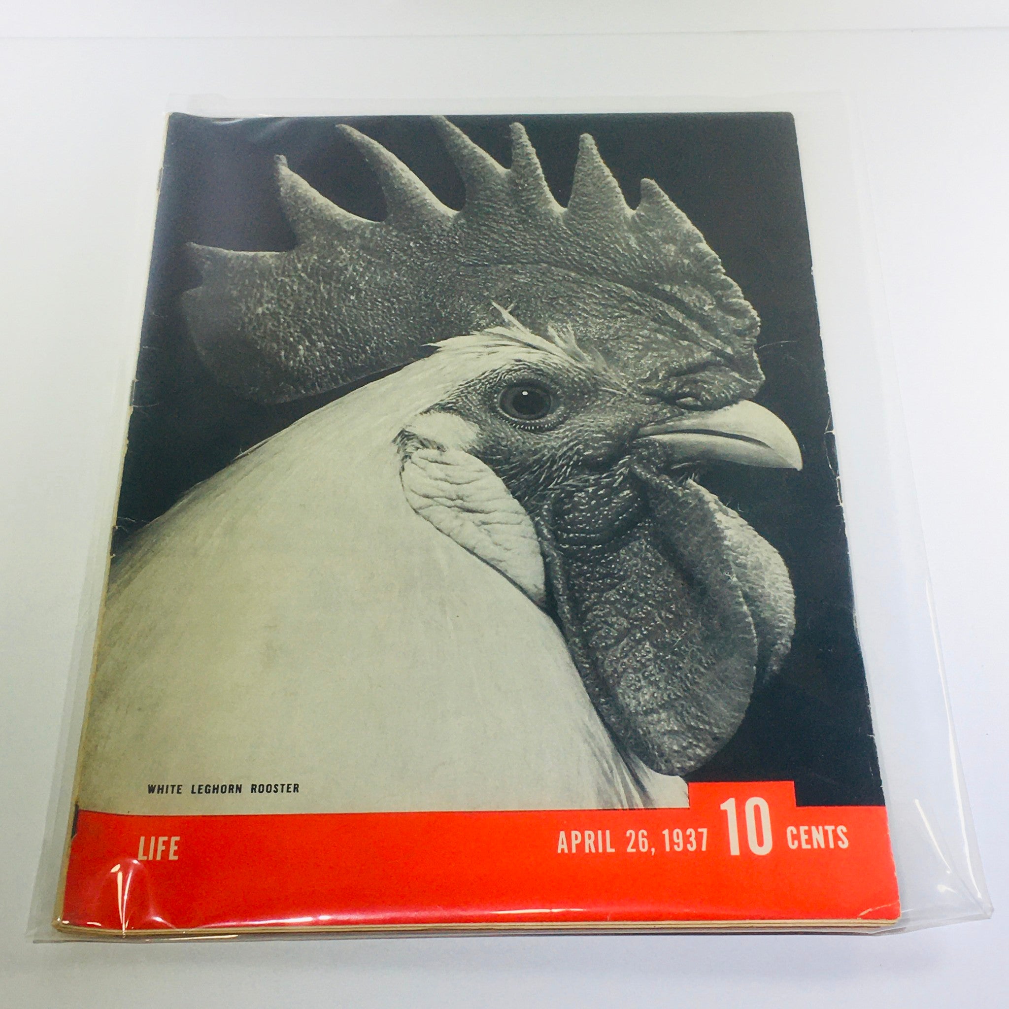 Vintage Life Magazine: April 26 1937 - White Leghorn Rooster