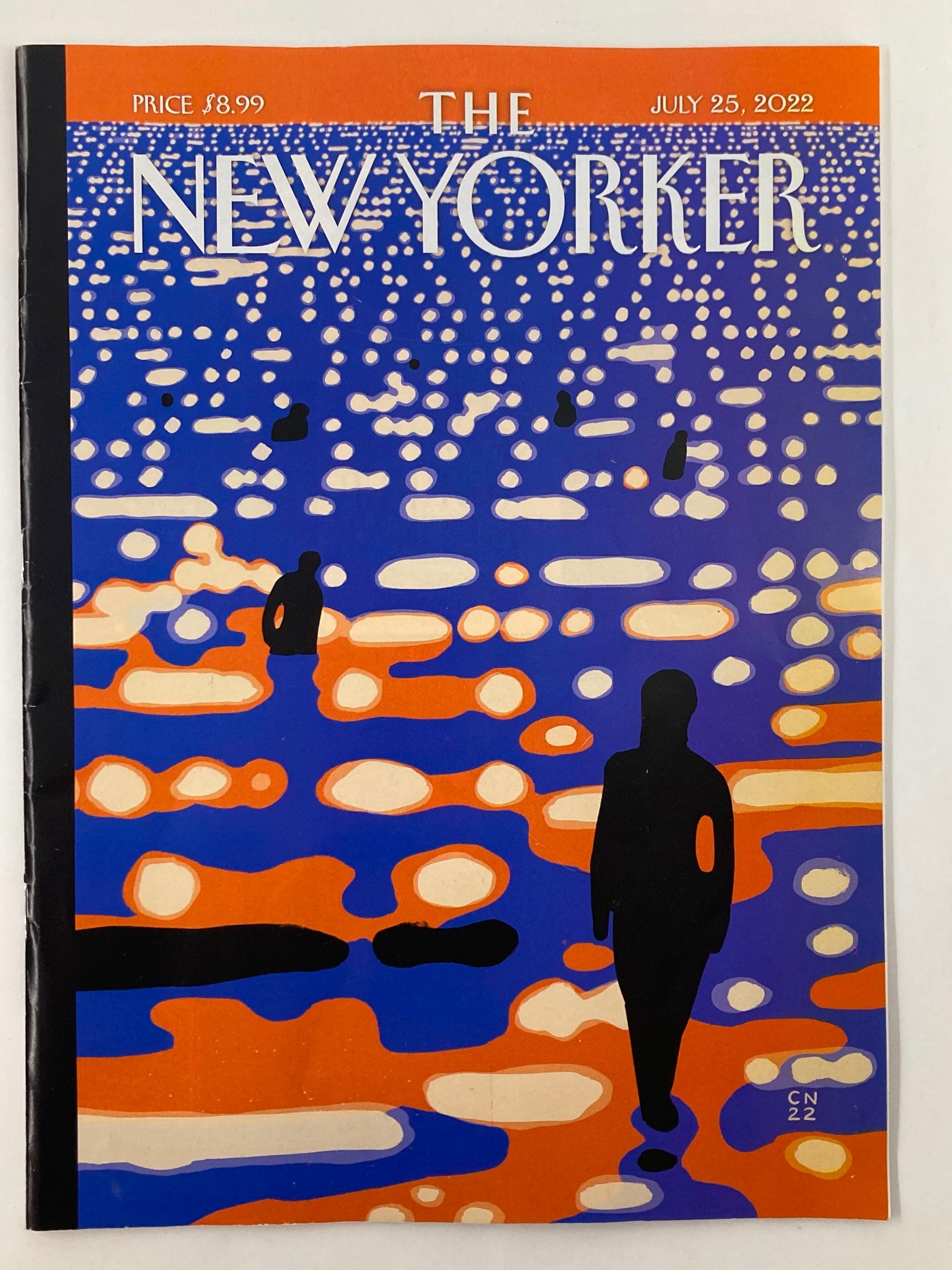 The New Yorker Full Magazine July 25 2022 Time for Reflection C Niemann No Label