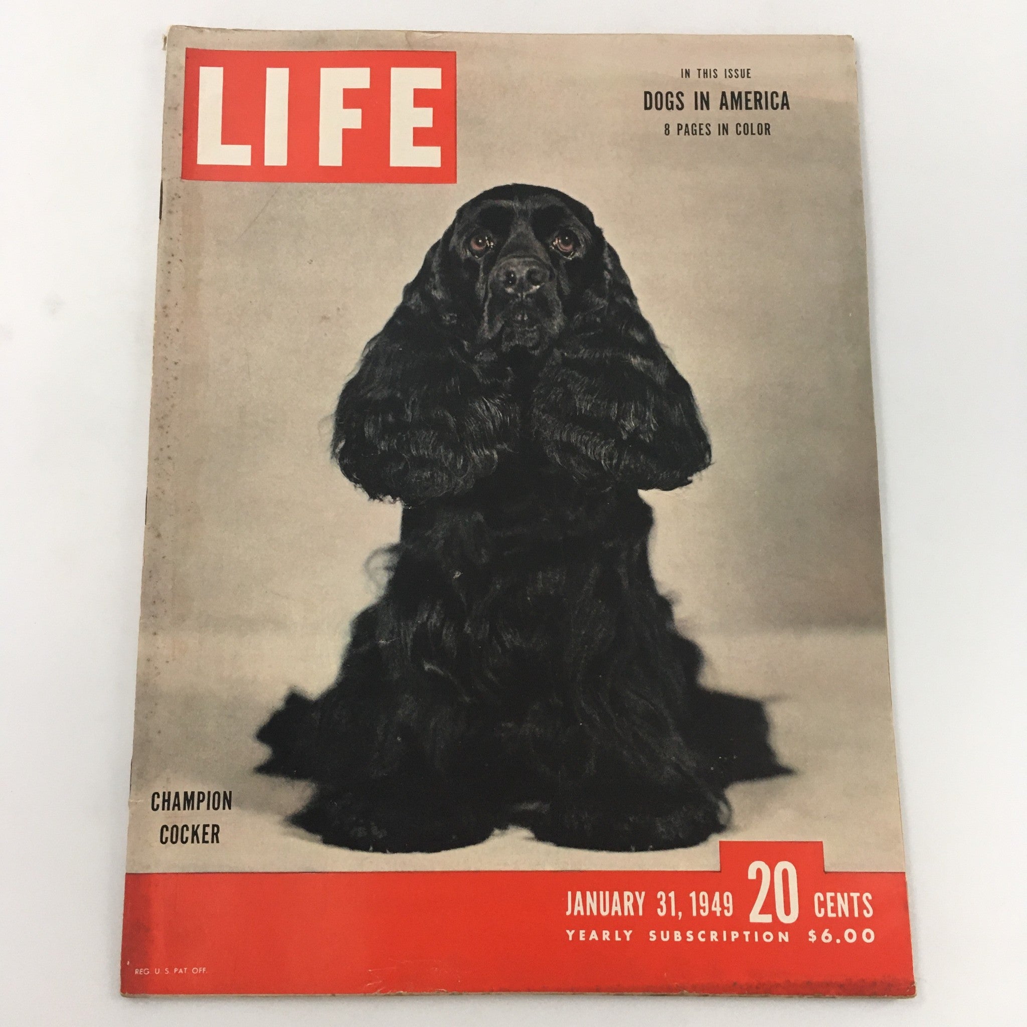 VTG Life Magazine January 31 1949 Dogs in America 8 Pages in Color, Newsstand