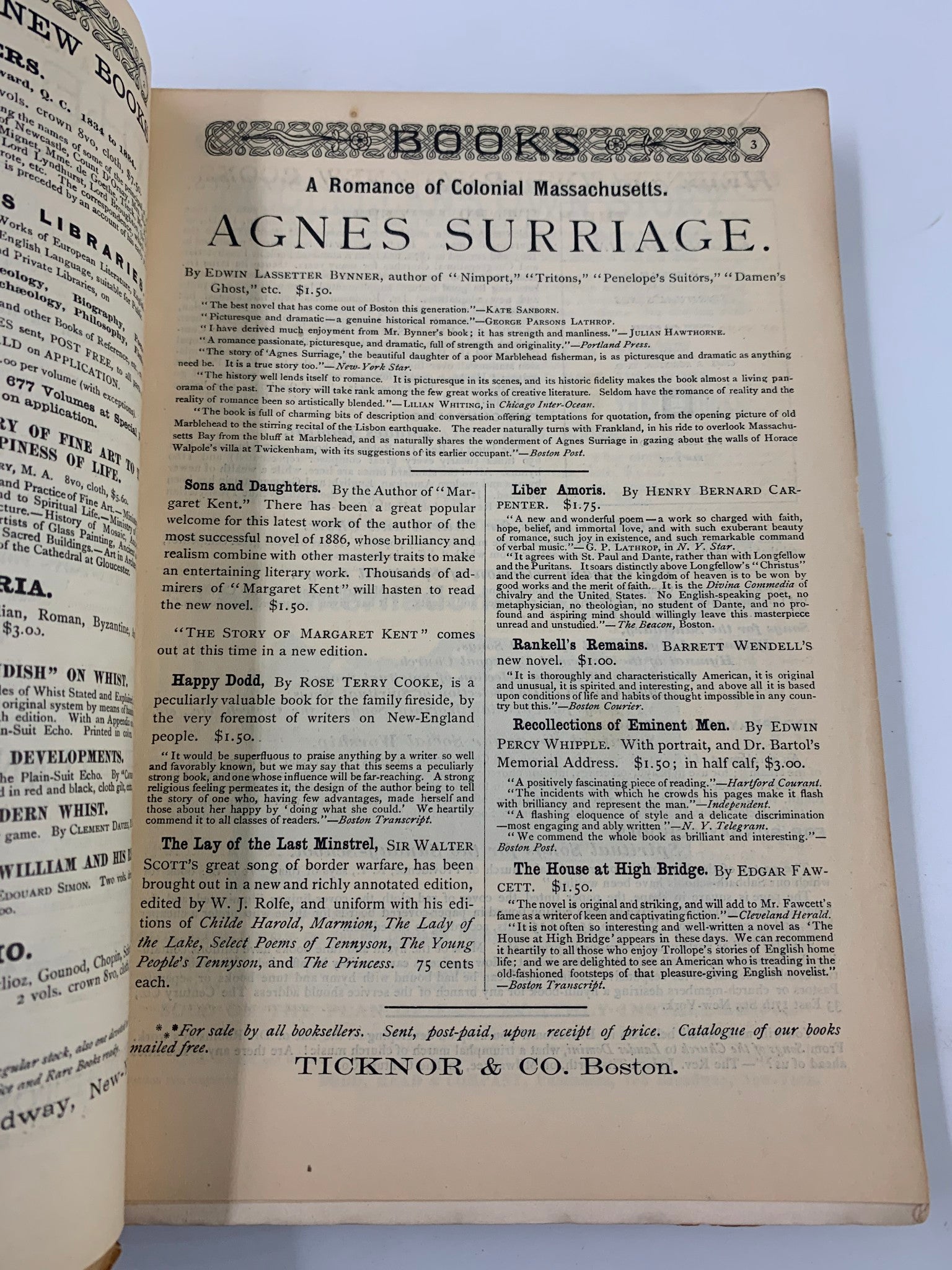 VTG The Century Illustrated Magazine February 1887 Agnes Surriage Romance