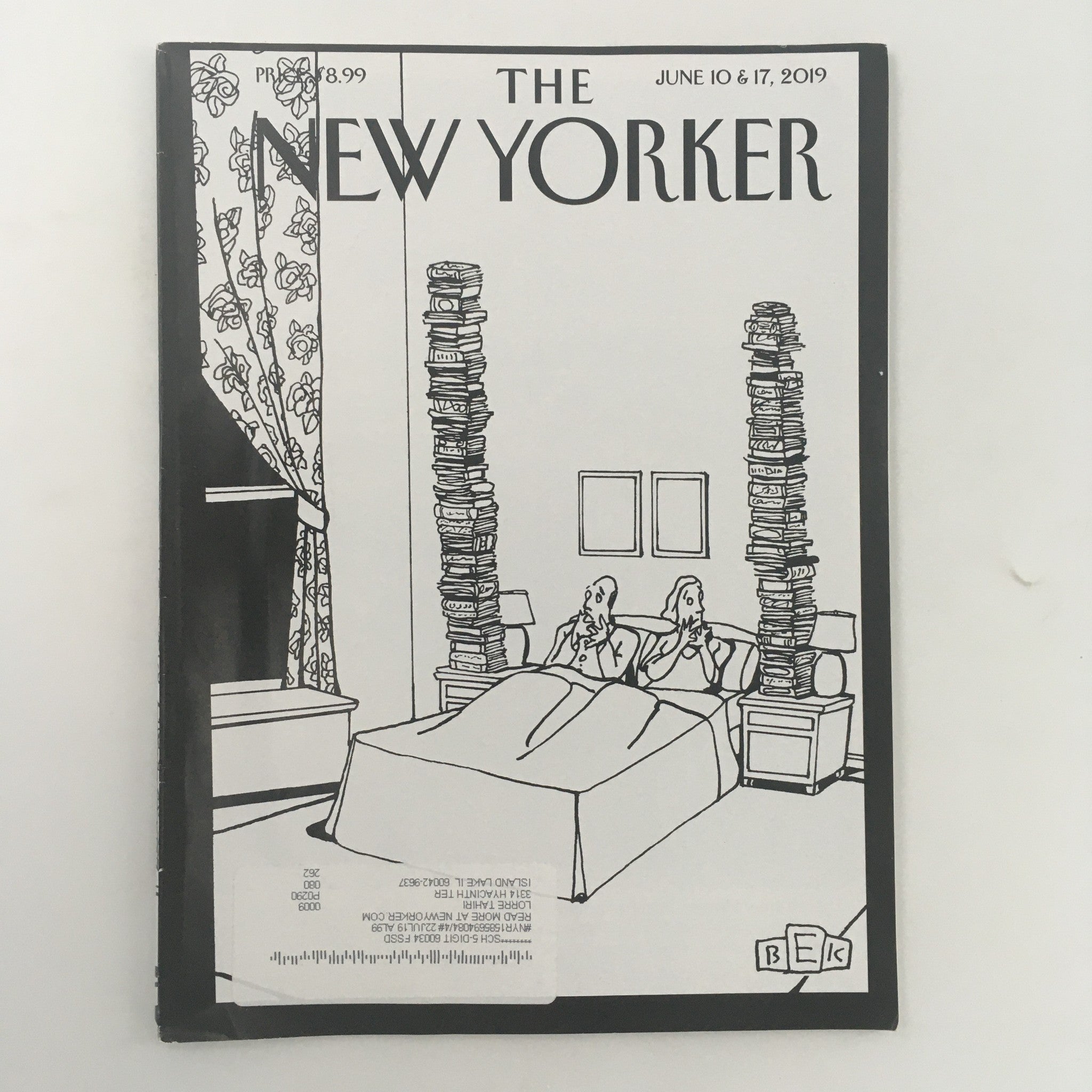 The New Yorker June 10 & 17 2019 Full Magazine Theme Cover by Bruce Eric Kaplan