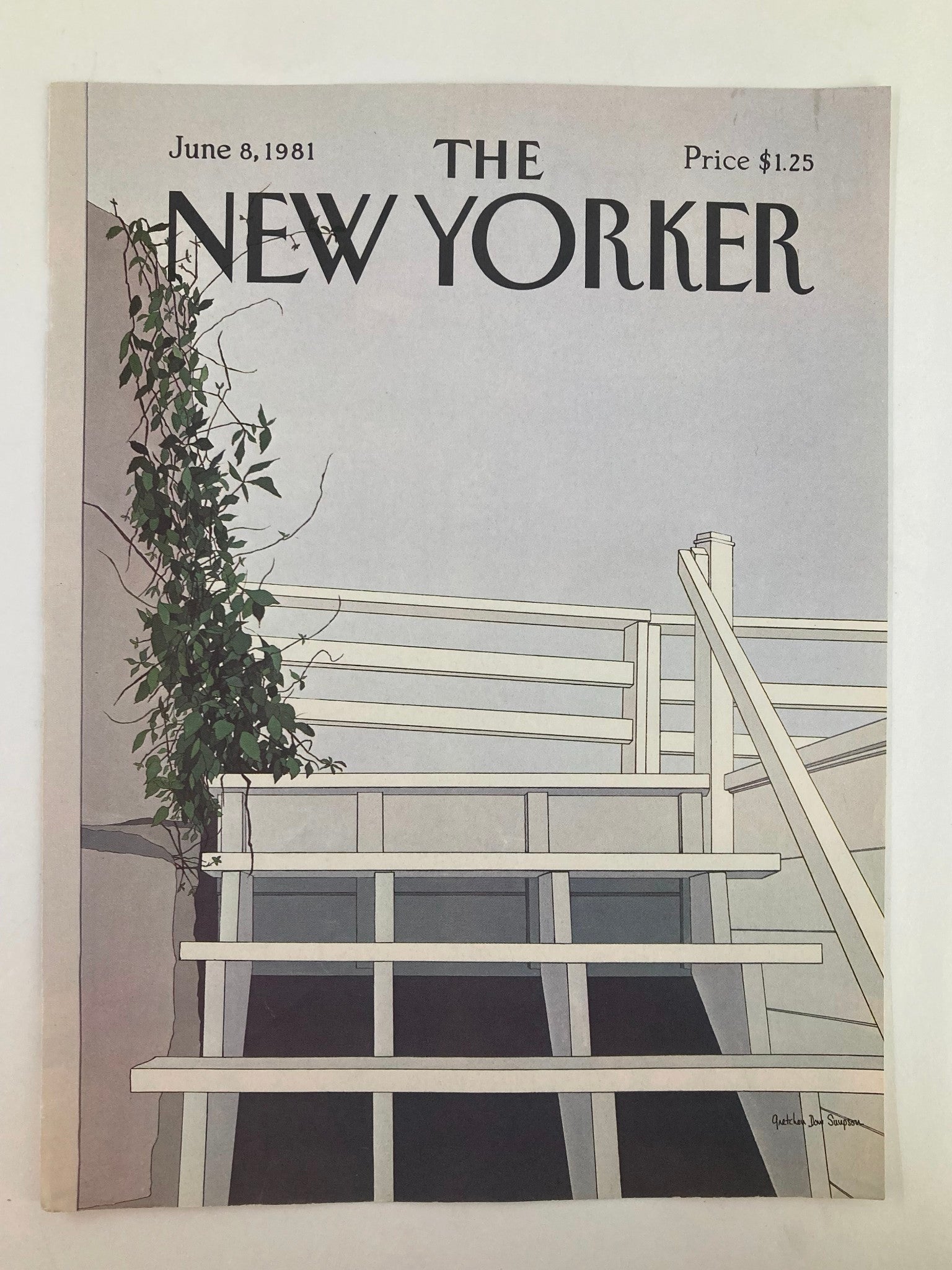 COVER ONLY The New Yorker June 8 1981 Clean Stairs by Gretchen Dow Simpson