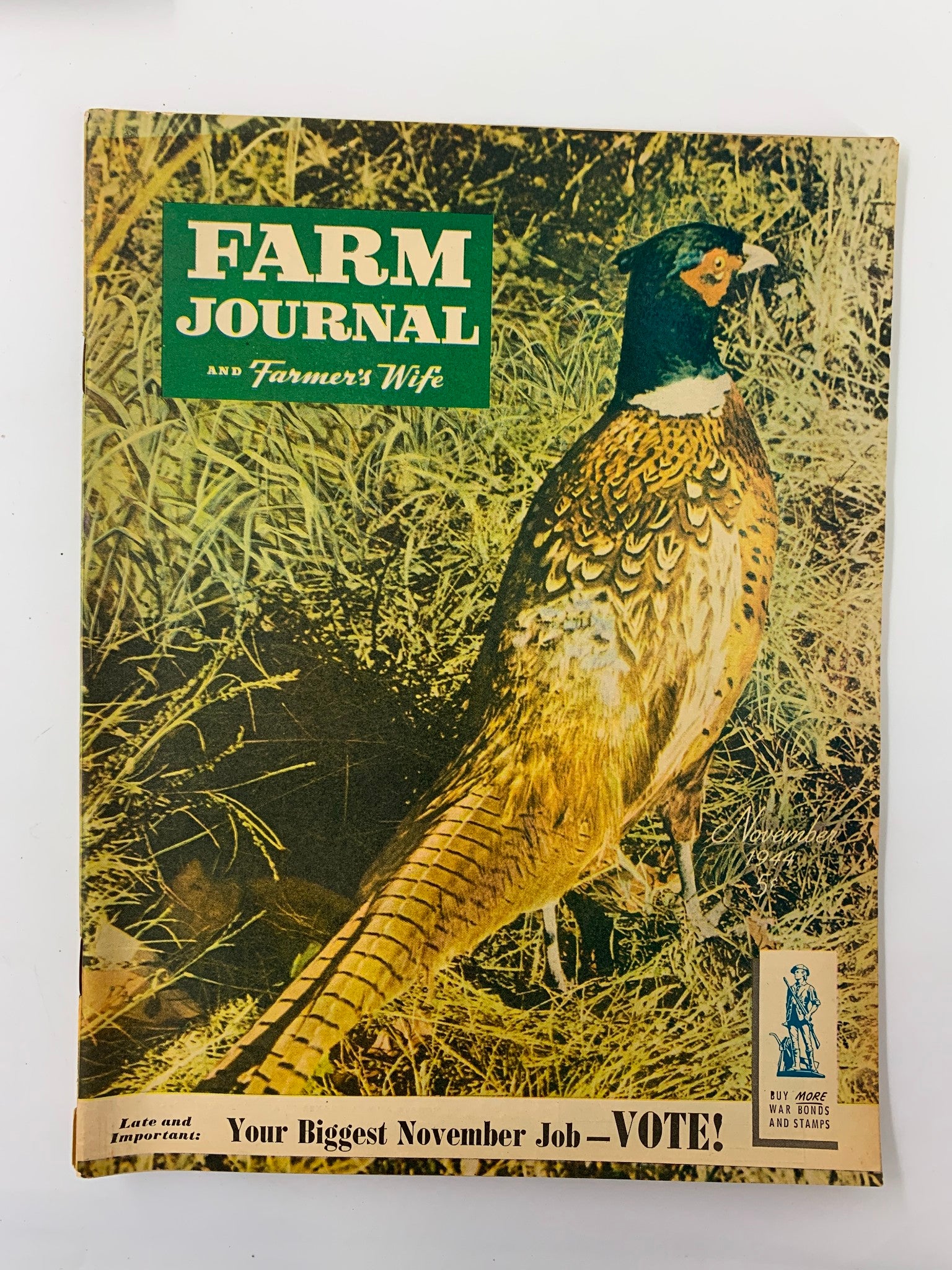 VTG Farm Journal Magazine November 1944 Your Biggest November Job Vote