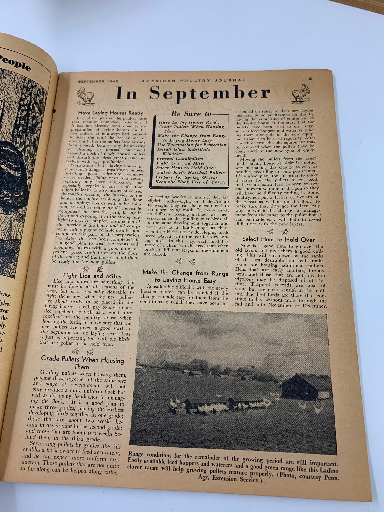 VTG American Poultry Journal September 1945 Voice of Two Billion Dollar Poultry