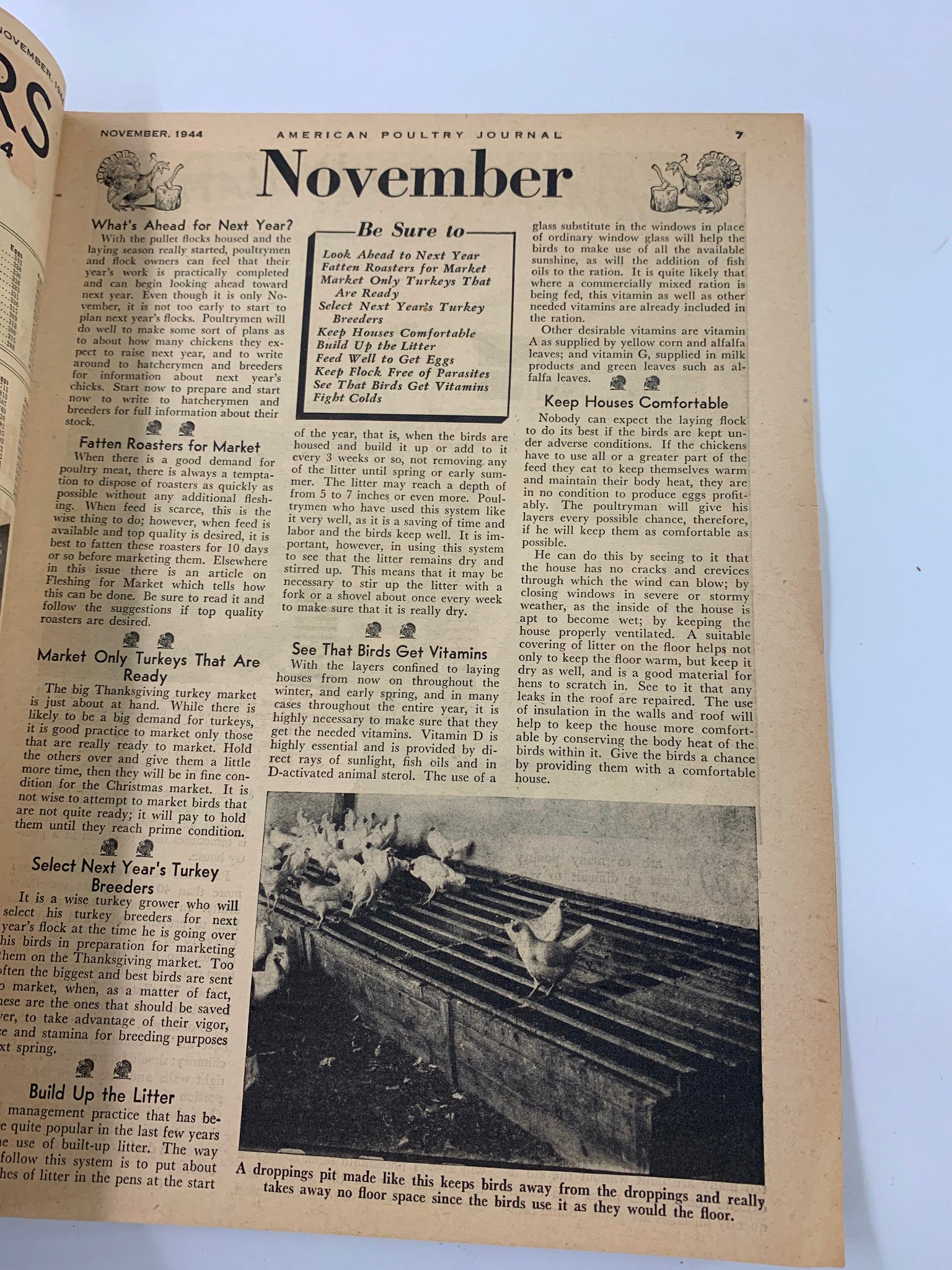 VTG American Poultry Journal November 1944 Select Next Year's Turkey Breeders