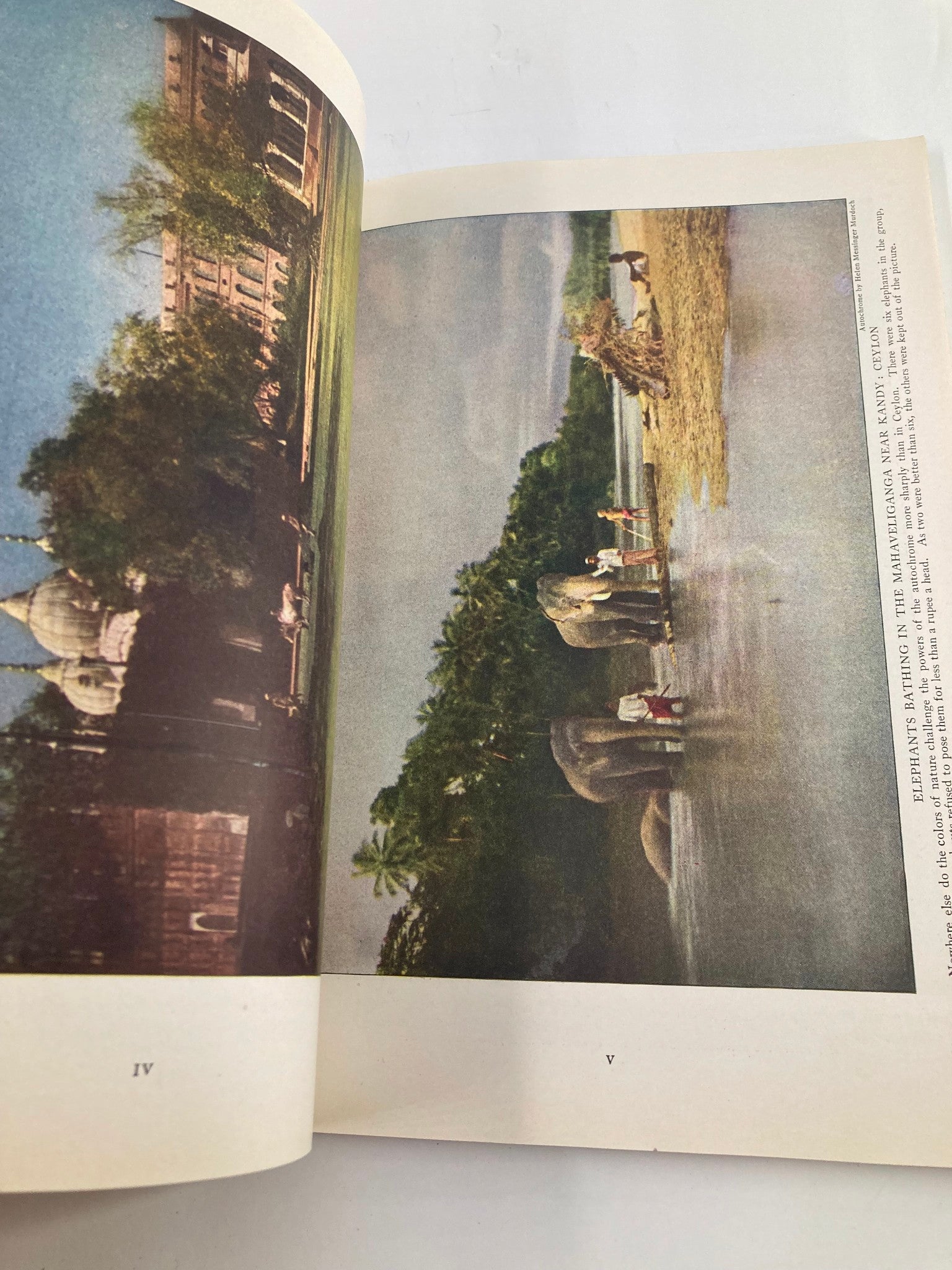 Vibrant image of elephants by a river from The National Geographic Magazine March 1921, highlighting the beauty of India.