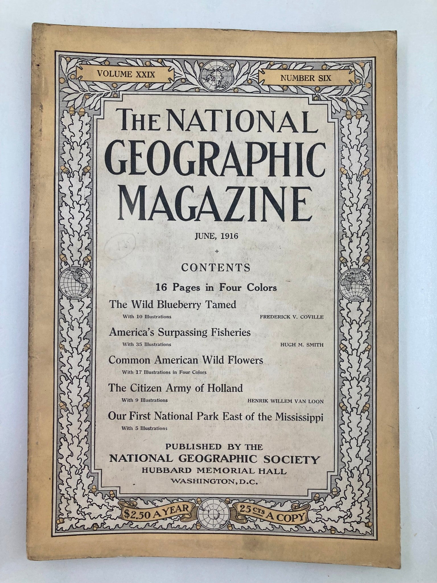 VTG The National Geographic Magazine June 1916 American Wild Flowers No Label