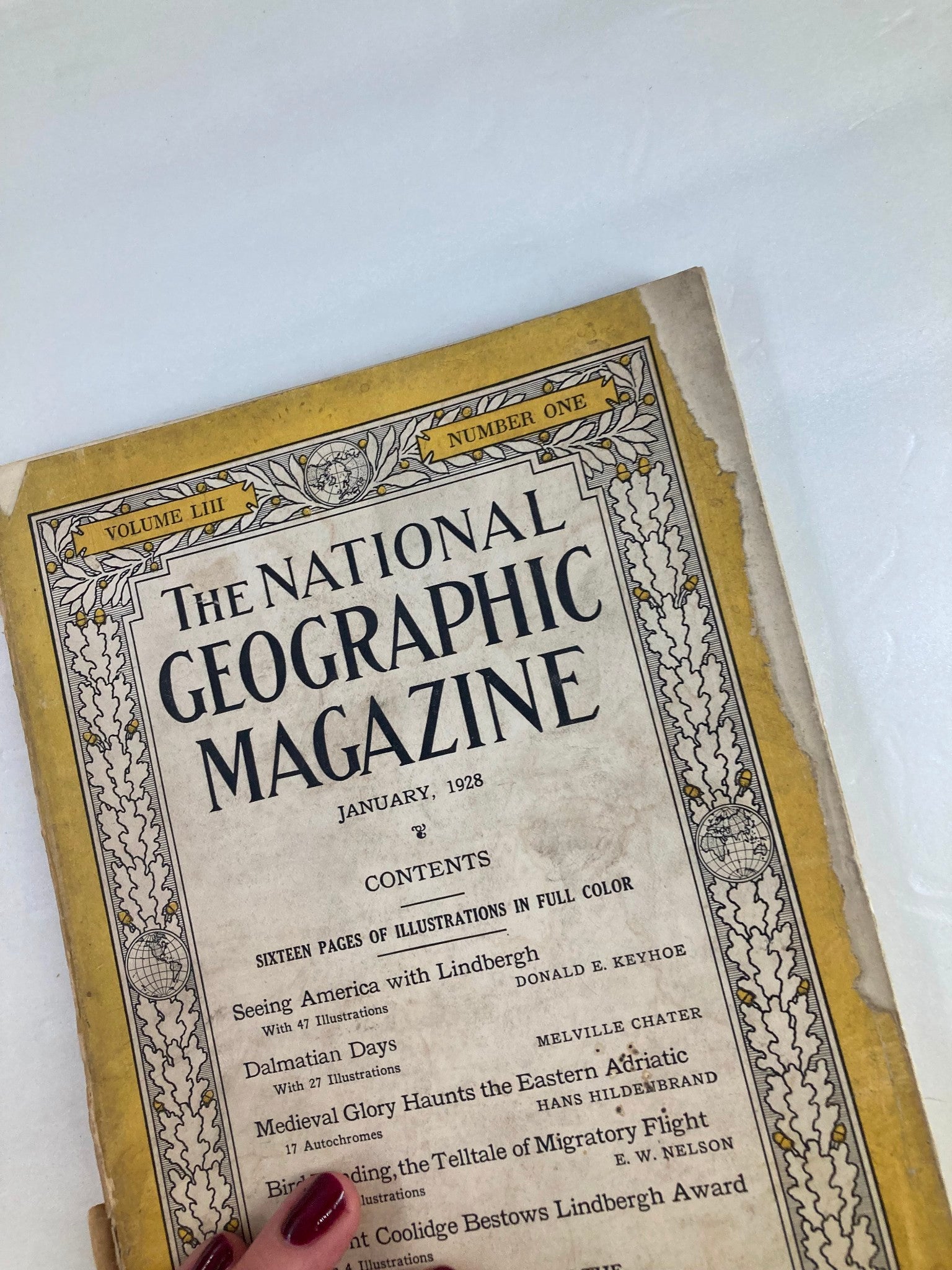 VTG The National Geographic Magazine January 1928 Bird Banding No Label