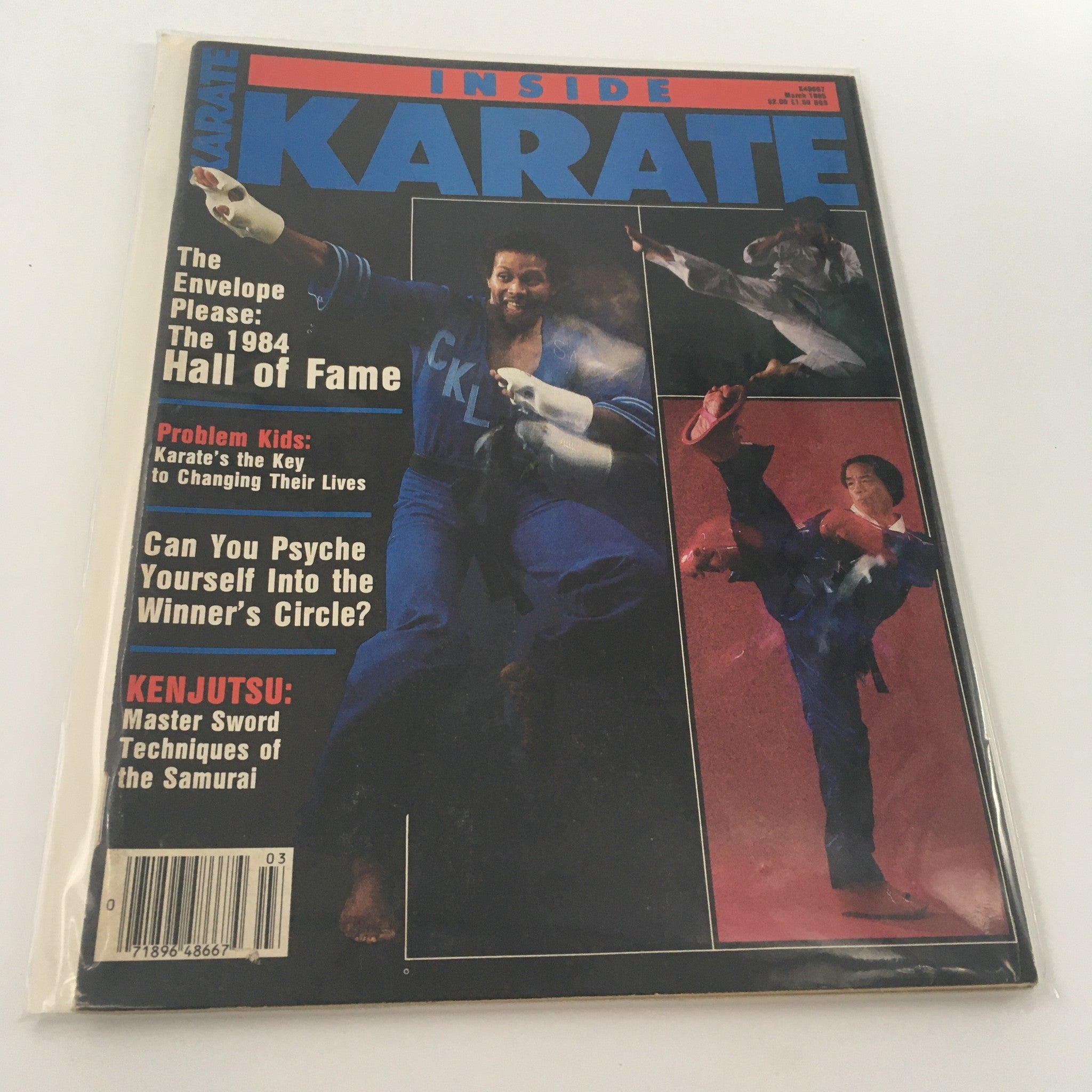 VTG Inside Karate Magazine March 1985 Steve Anderson Kenjutsu Feature, Newsstand