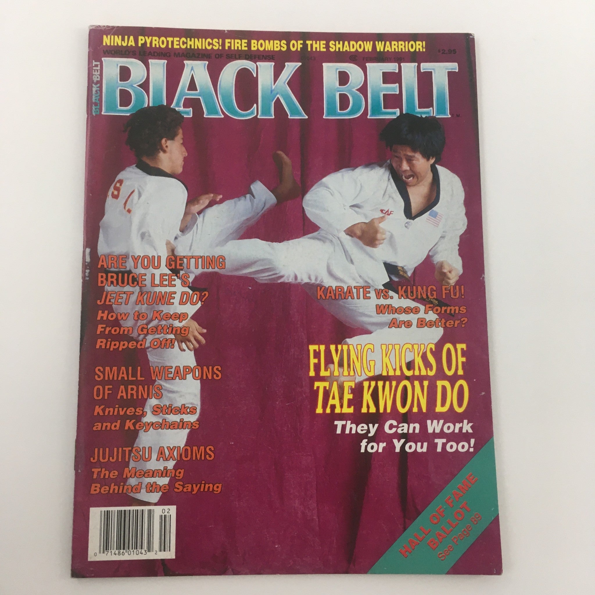 Black Belt Magazine February 1991 Flying Kicks of Tae Kwan Do, Newsstand