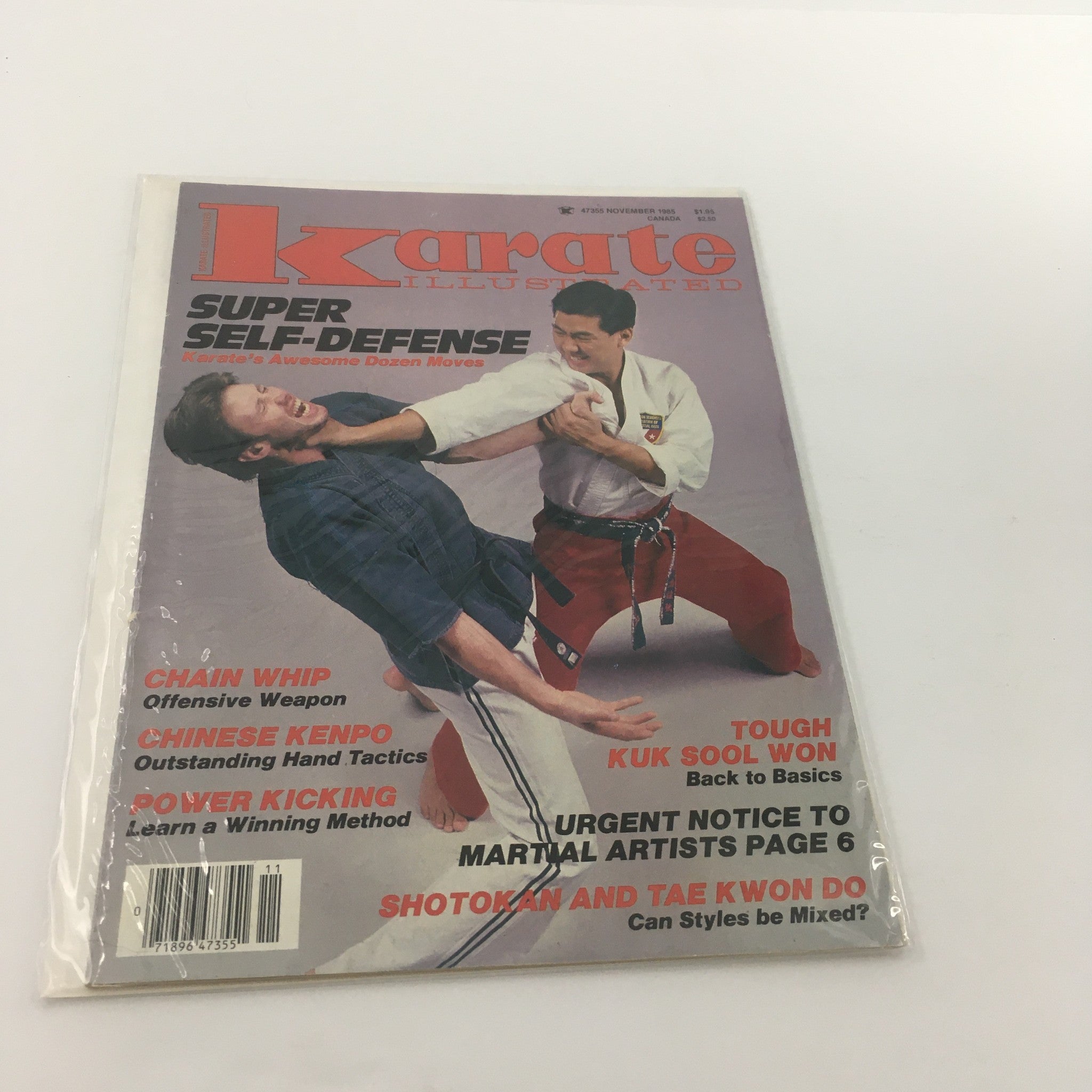 Karate Illustrated Magazine November 1985 Shotokan and Tae Kwon Do, Newsstand