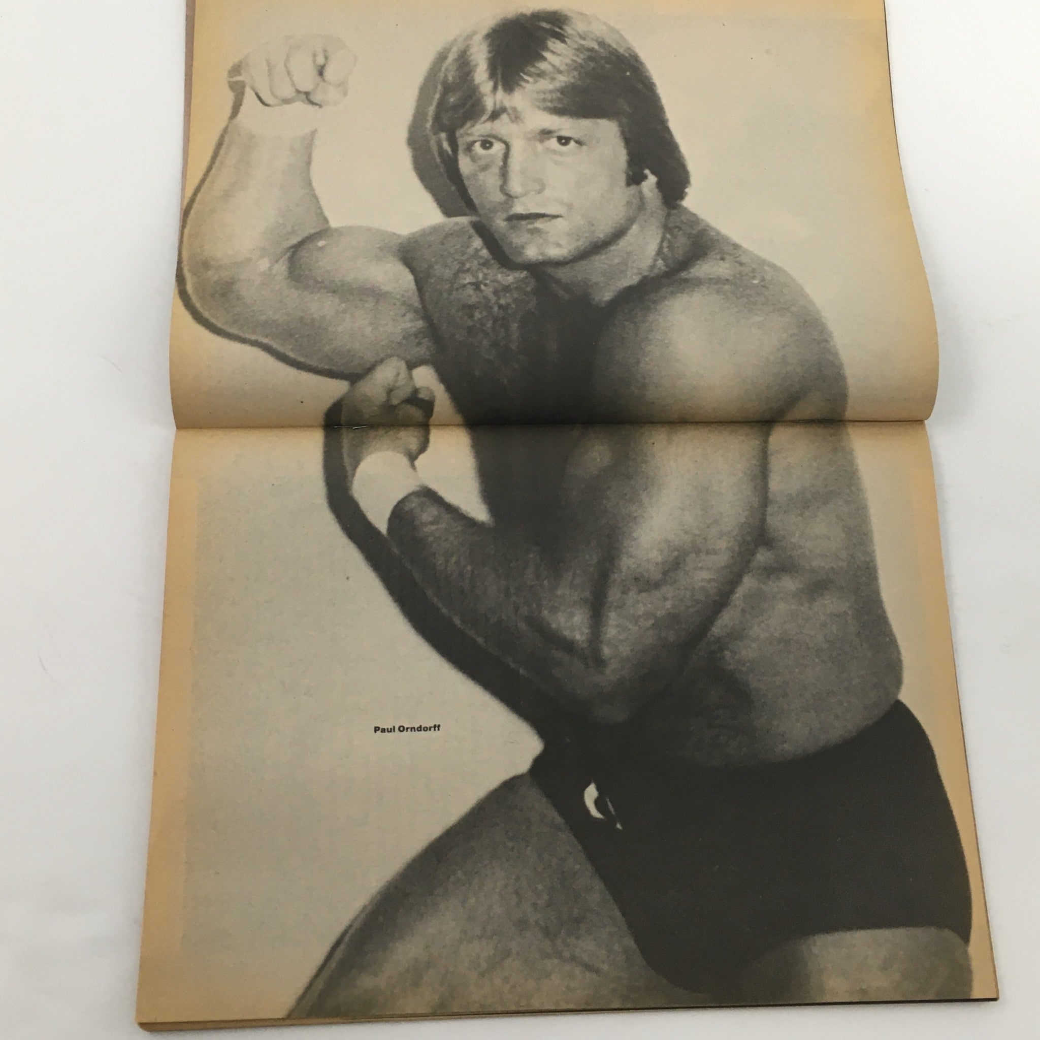 Wrestling Today Magazine January 1981 featuring Paul Orndorff, showcasing his athletic build and charisma as a prominent wrestler in this vintage publication.