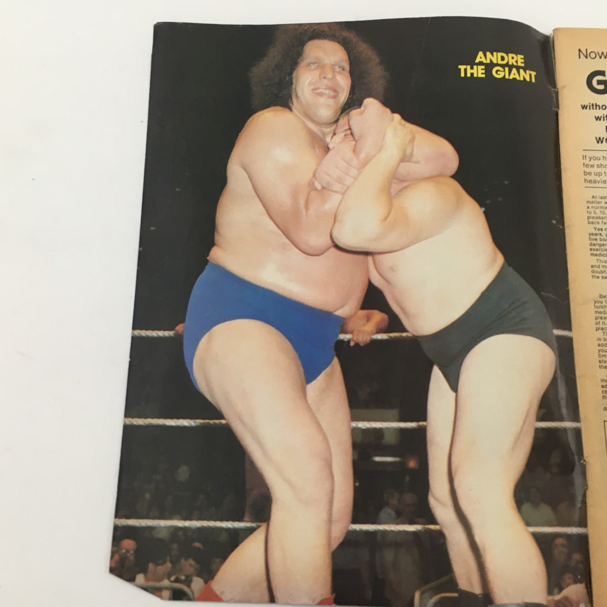Wrestling World Magazine 1981 showcasing the famous wrestler Andre the Giant in a dramatic wrestling pose.