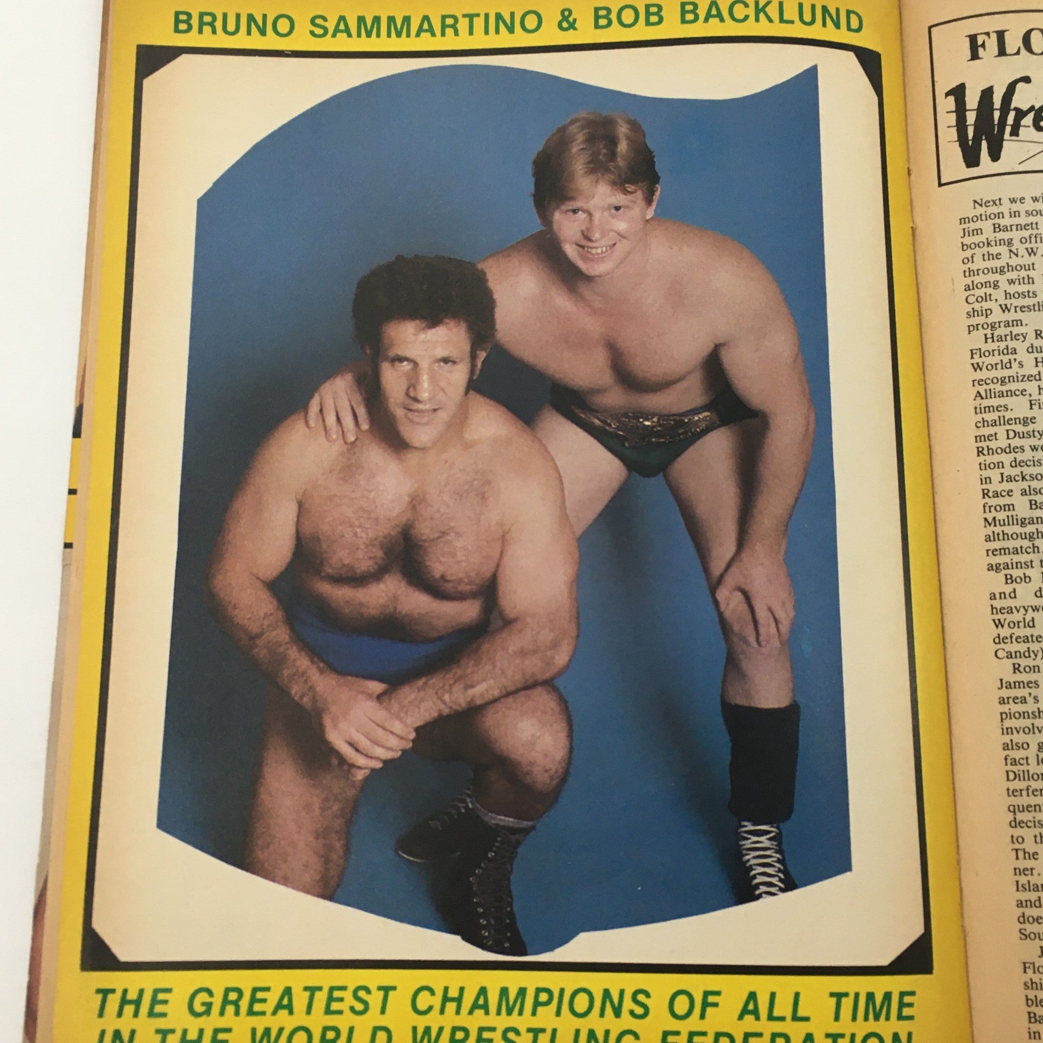 Bruno Sammartino and Bob Backlund featured in The Ring's Wrestling Magazine Issue #106, 1983, showcasing legends of professional wrestling and highlighting their impact in the sport.