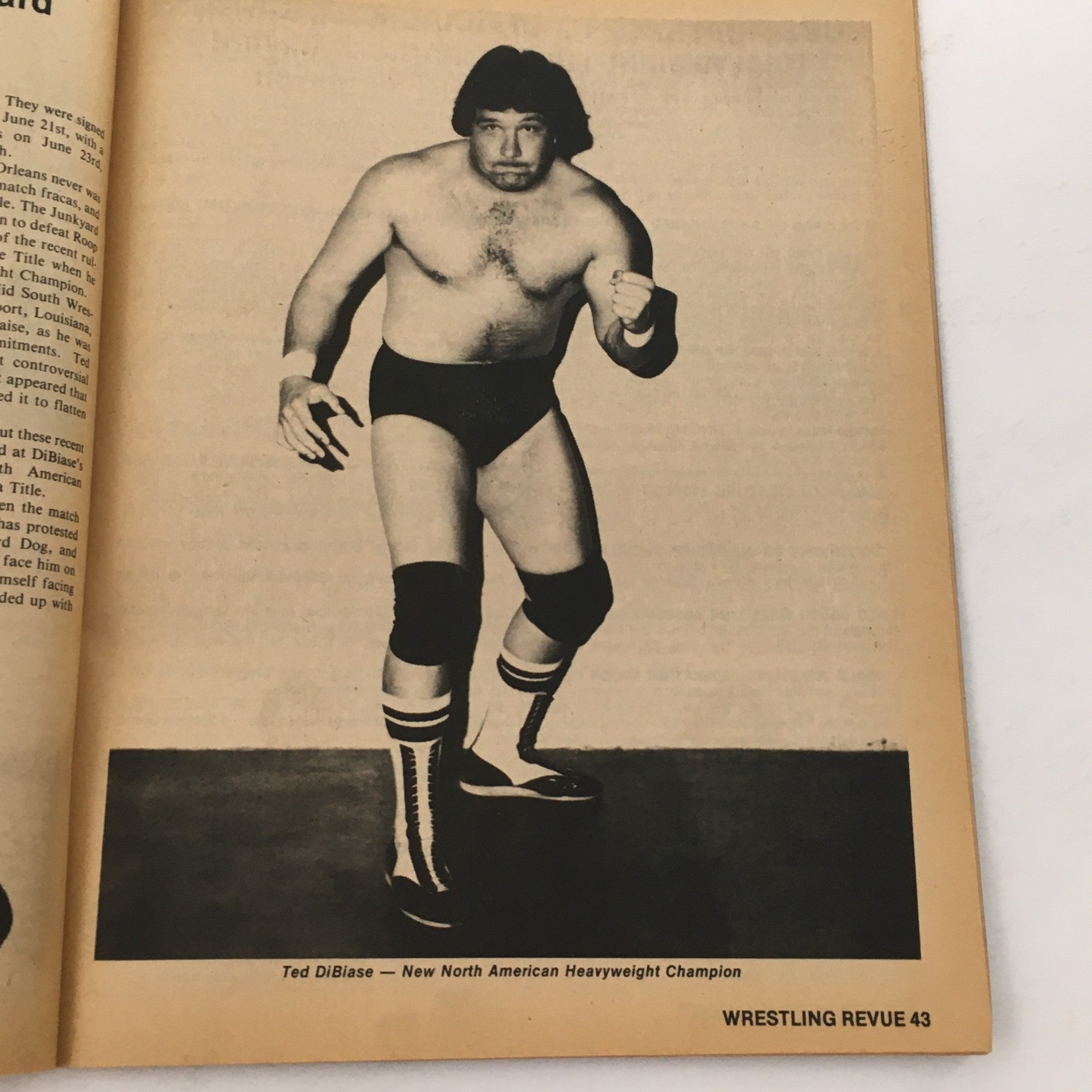 Wrestling Revue Magazine September 1982 Ric Flair Bob Backlund & Nick Bockwinkel