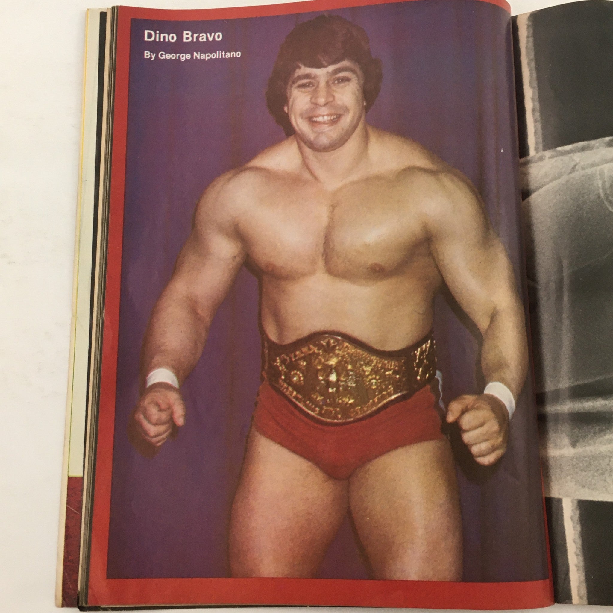 Wrestling Training Illustrated Magazine Spring 1980 Billy "Superstar" Graham