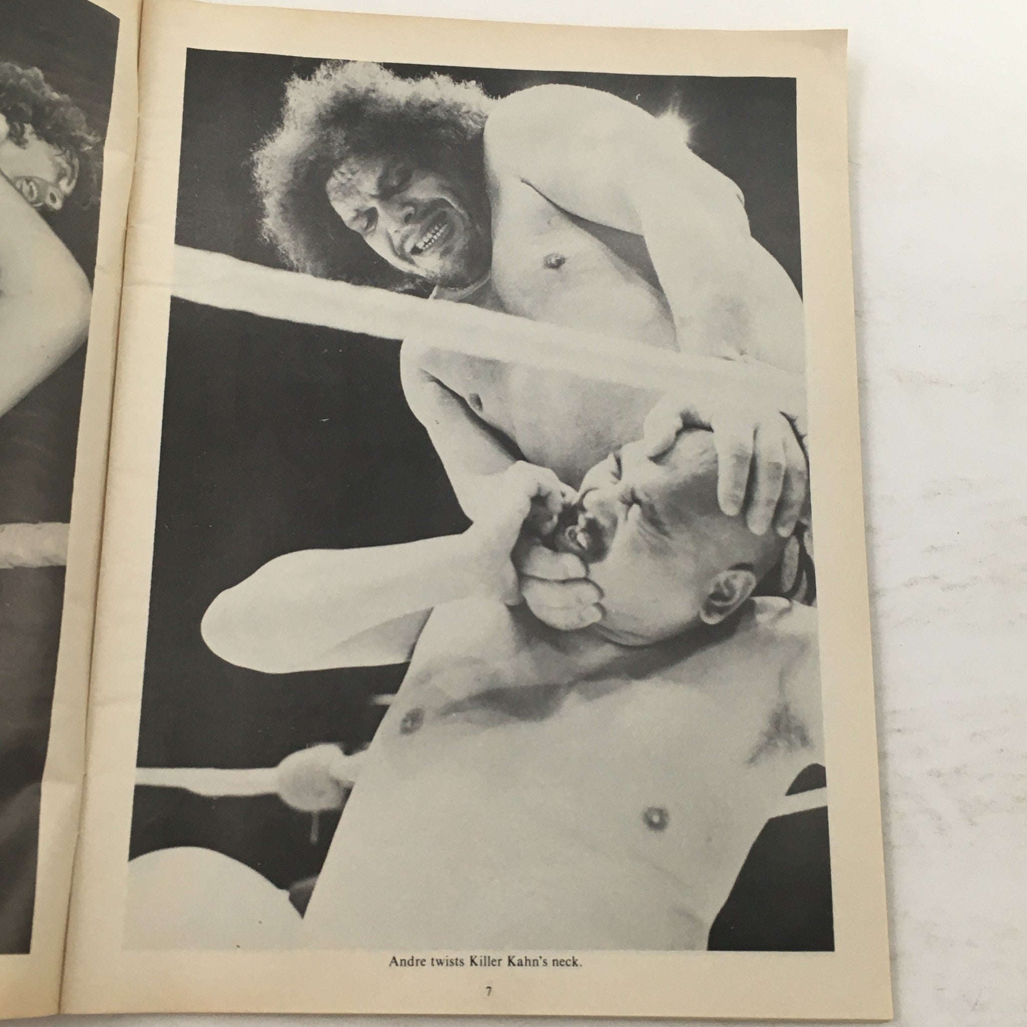 Wrestling Action Photo Album 1982 Vol 1 Andre The Giant and Bruno Sammartino