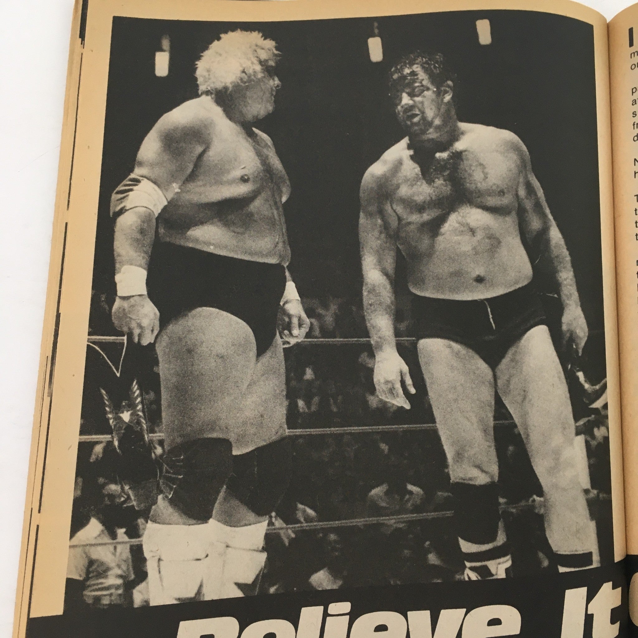 Wrestling Superstars Magazine Winter 1982 Mil Mascaras, Bob Buckland, Ric Flair