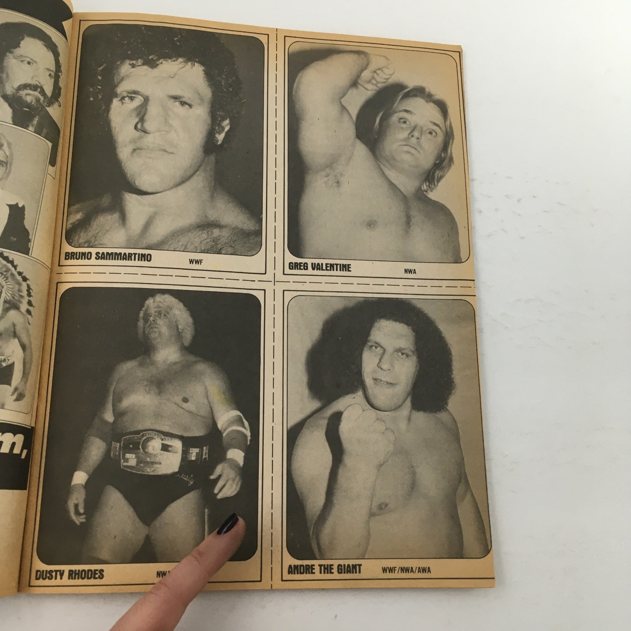 Wrestling Superstars Magazine Summer 1981 Hulk Hogan and Andre the Giant Feature