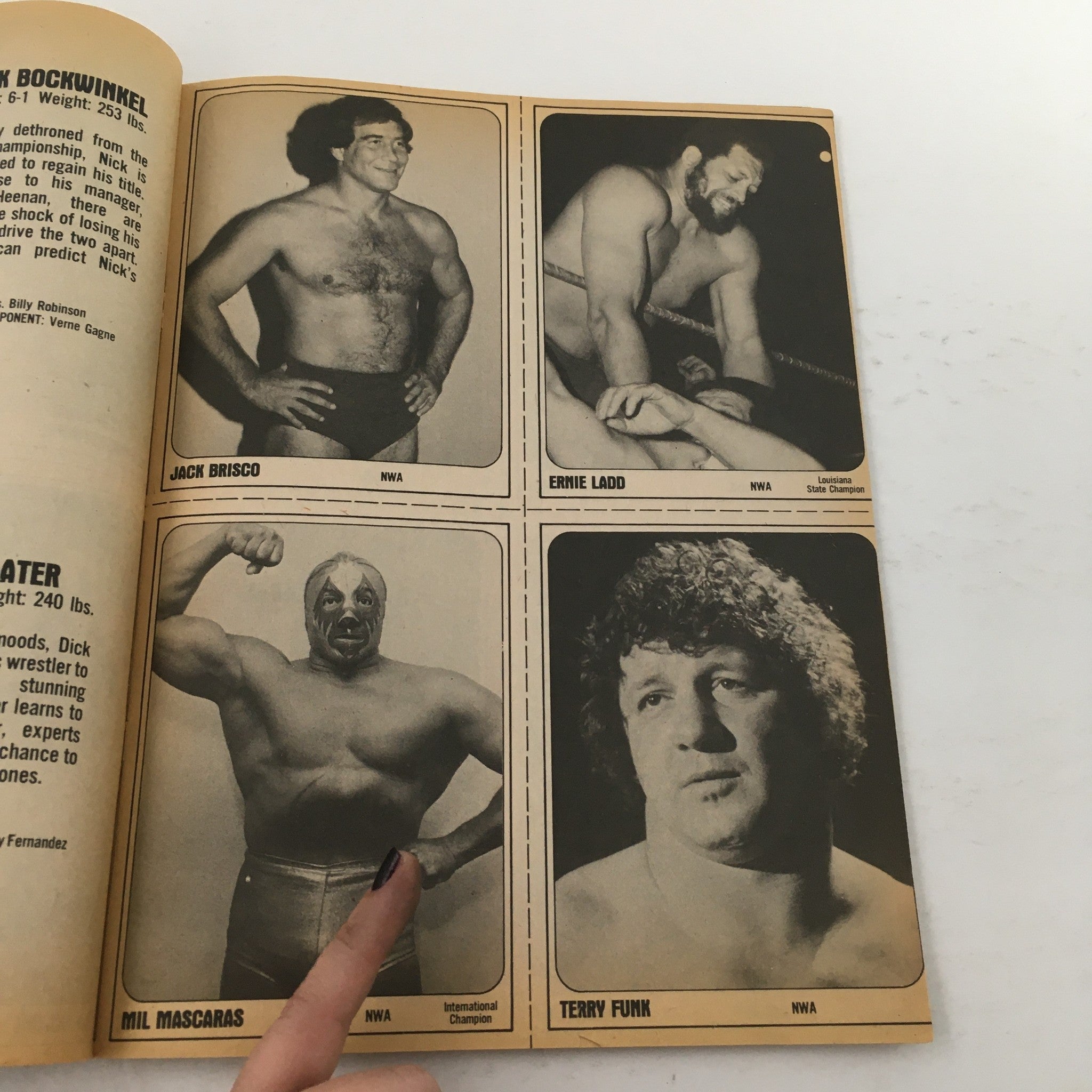 Wrestling Superstars Magazine Summer 1981 Hulk Hogan and Andre the Giant Feature