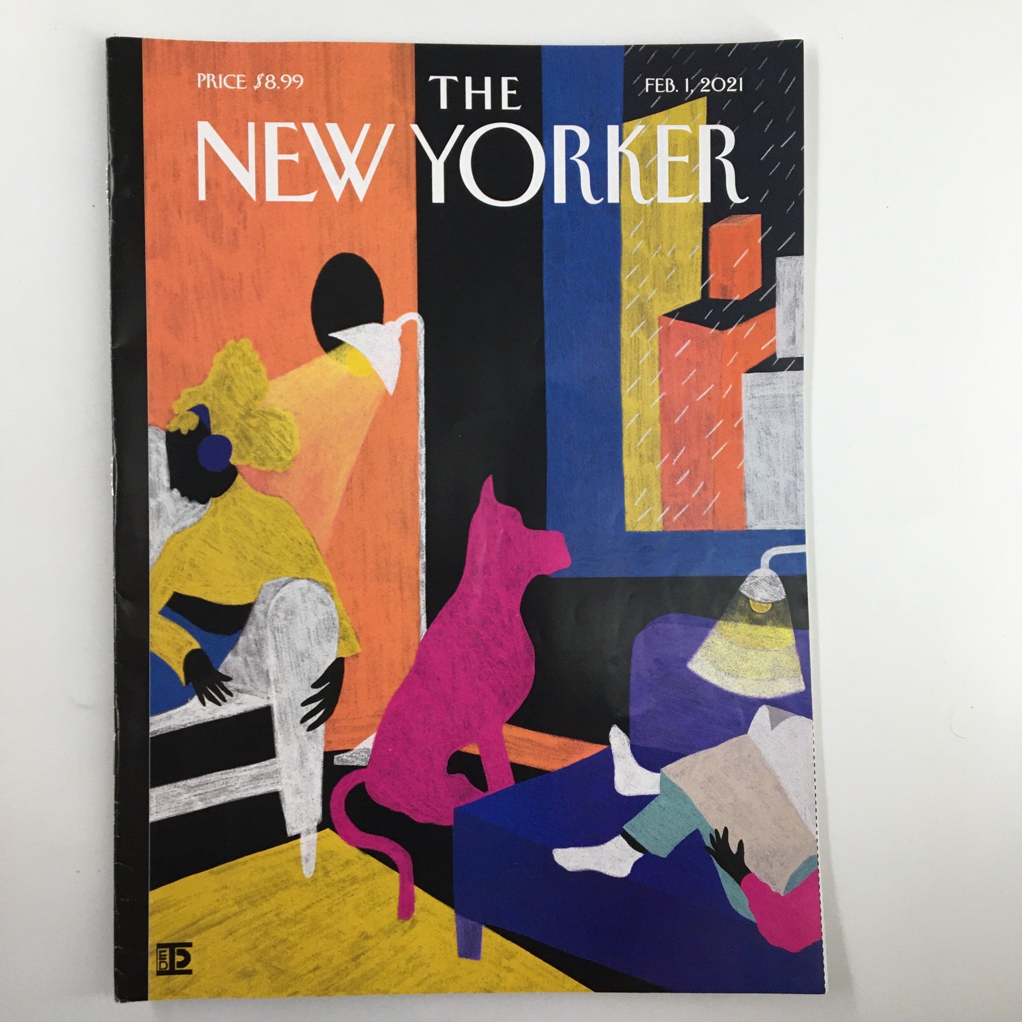 The New Yorker Magazine February 1 2021 Interiors Cover by Diana Ejaita No Label