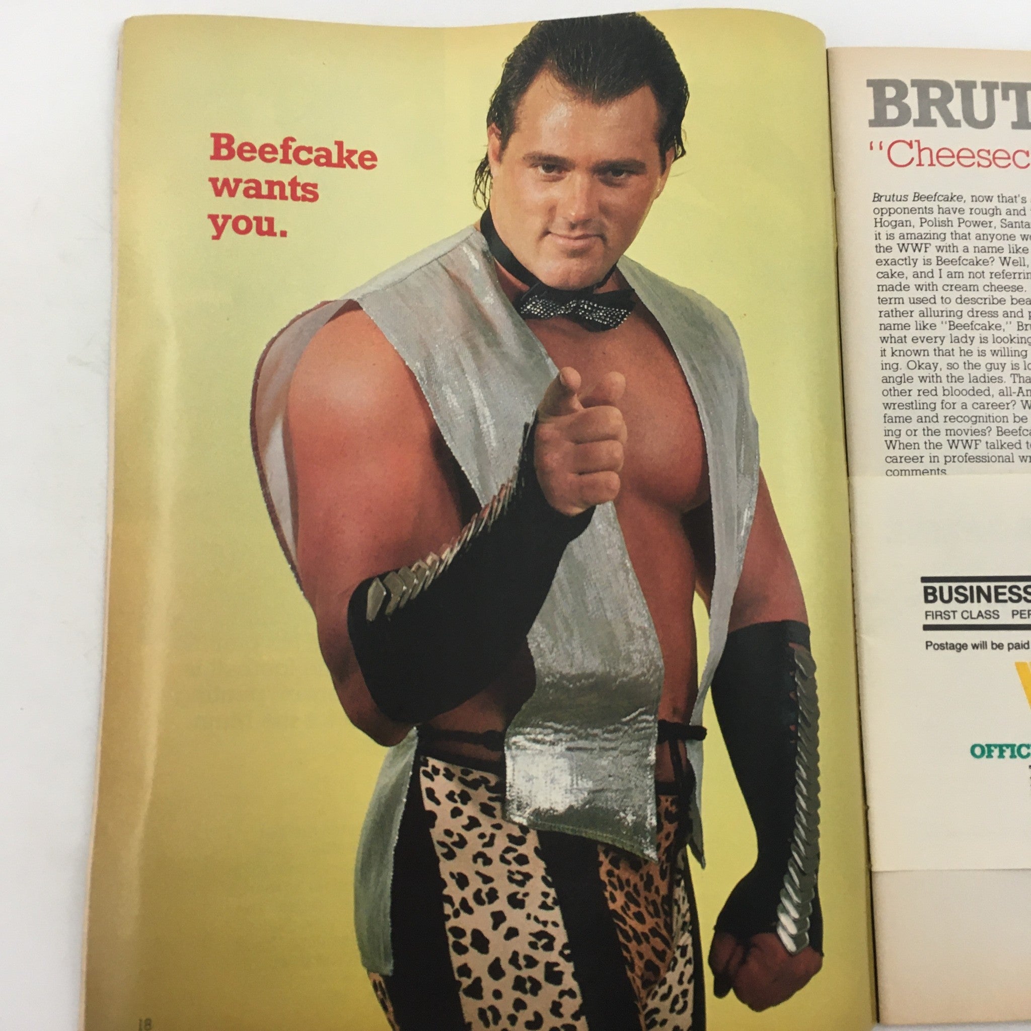 WWF Wrestling Magazine December January 1984-1985 The Faces of Wendi Richter