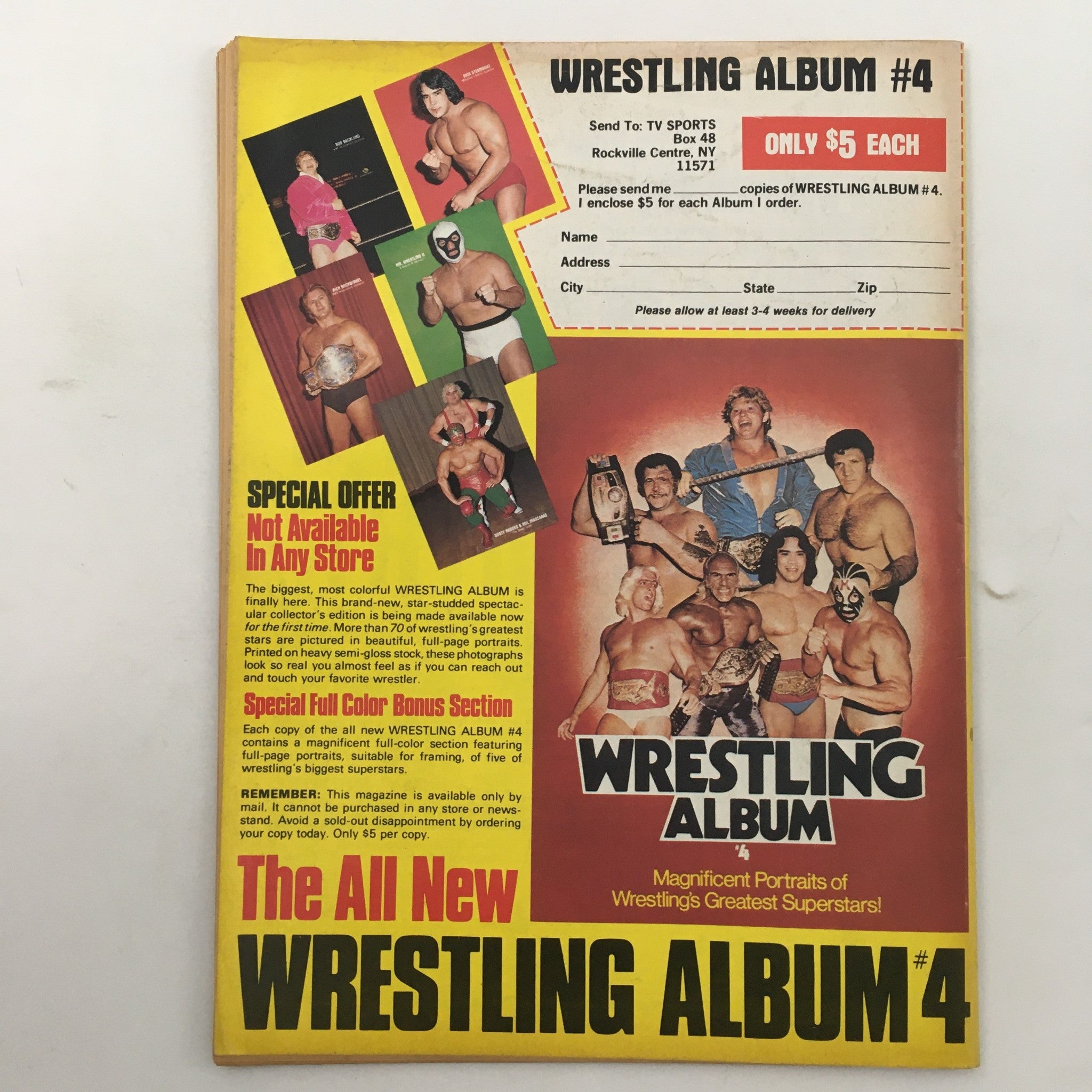 Wrestling Superstars Magazine Summer 1981 Hulk Hogan - Andre The Giant Tag Team