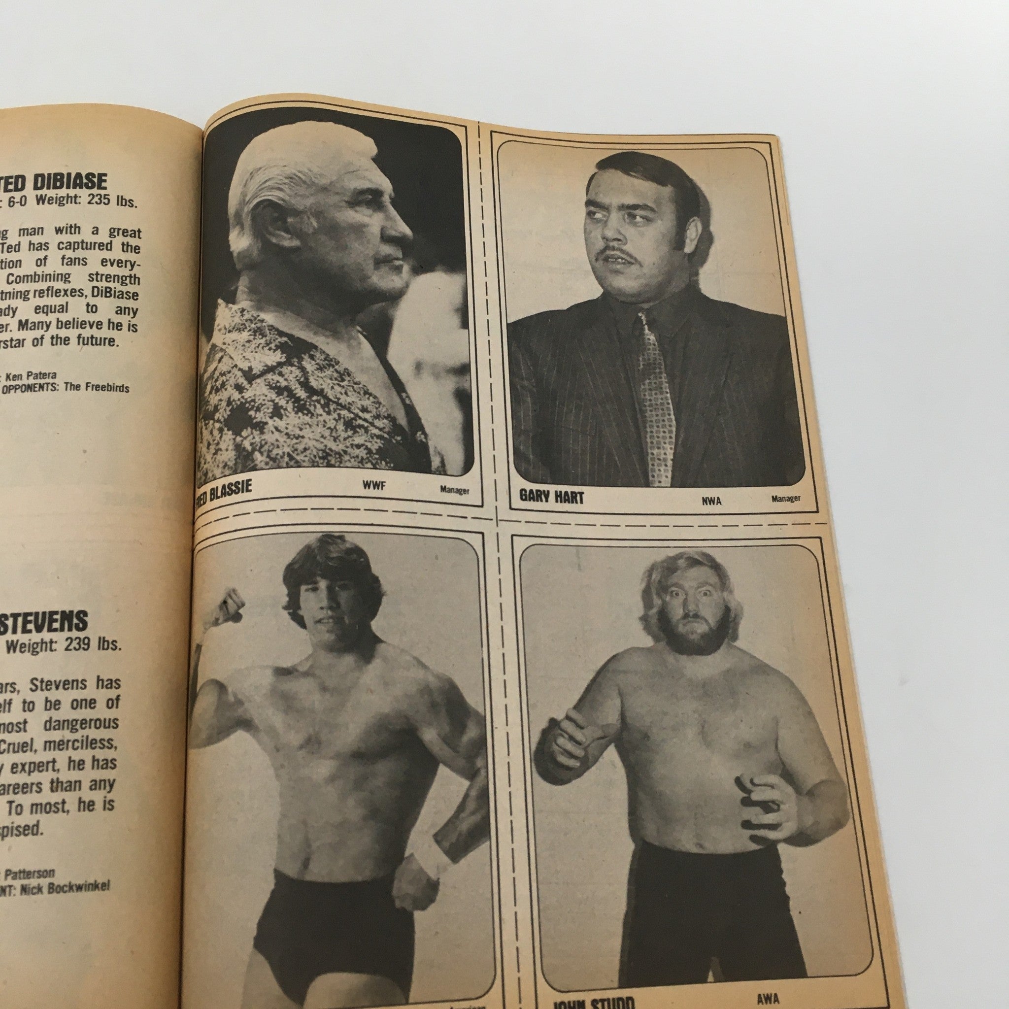 Wrestling Superstars Magazine Summer 1981 Hulk Hogan - Andre The Giant Tag Team