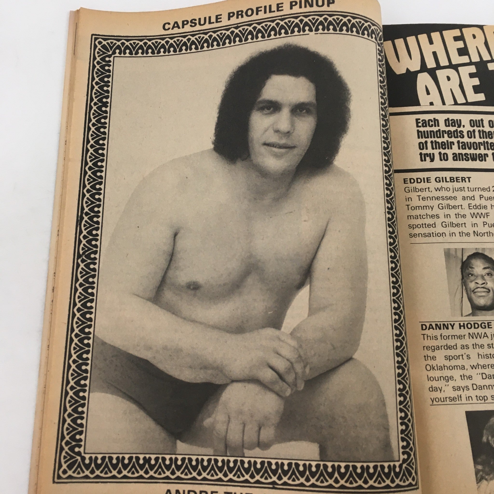 Capsule profile pinup of Andre the Giant from Inside Wrestling Magazine, January 1983, celebrating his wrestling career.