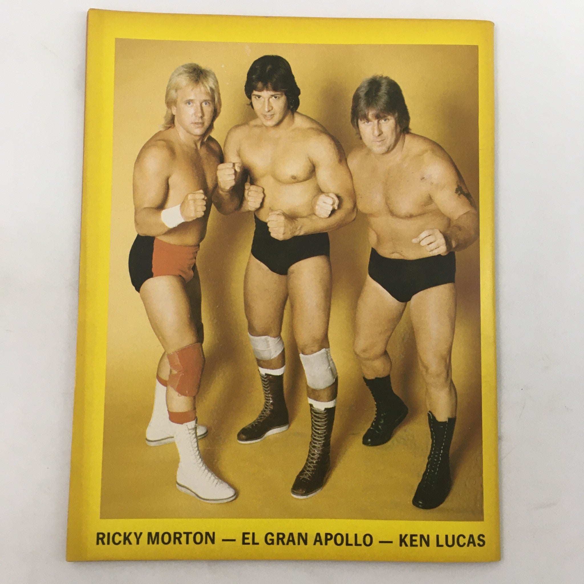 Wrestling Revue Magazine January 1983 Ricky Morton, El Gran Apollo and Ken Lucas