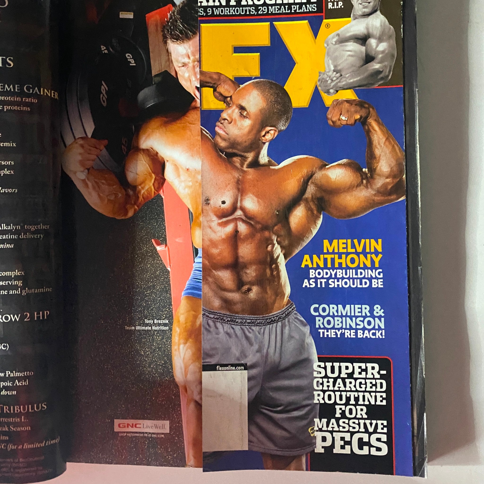 Flex Magazine February 2008 Vol 25, Num 12 Melvin Anthony, Reg Park Cover